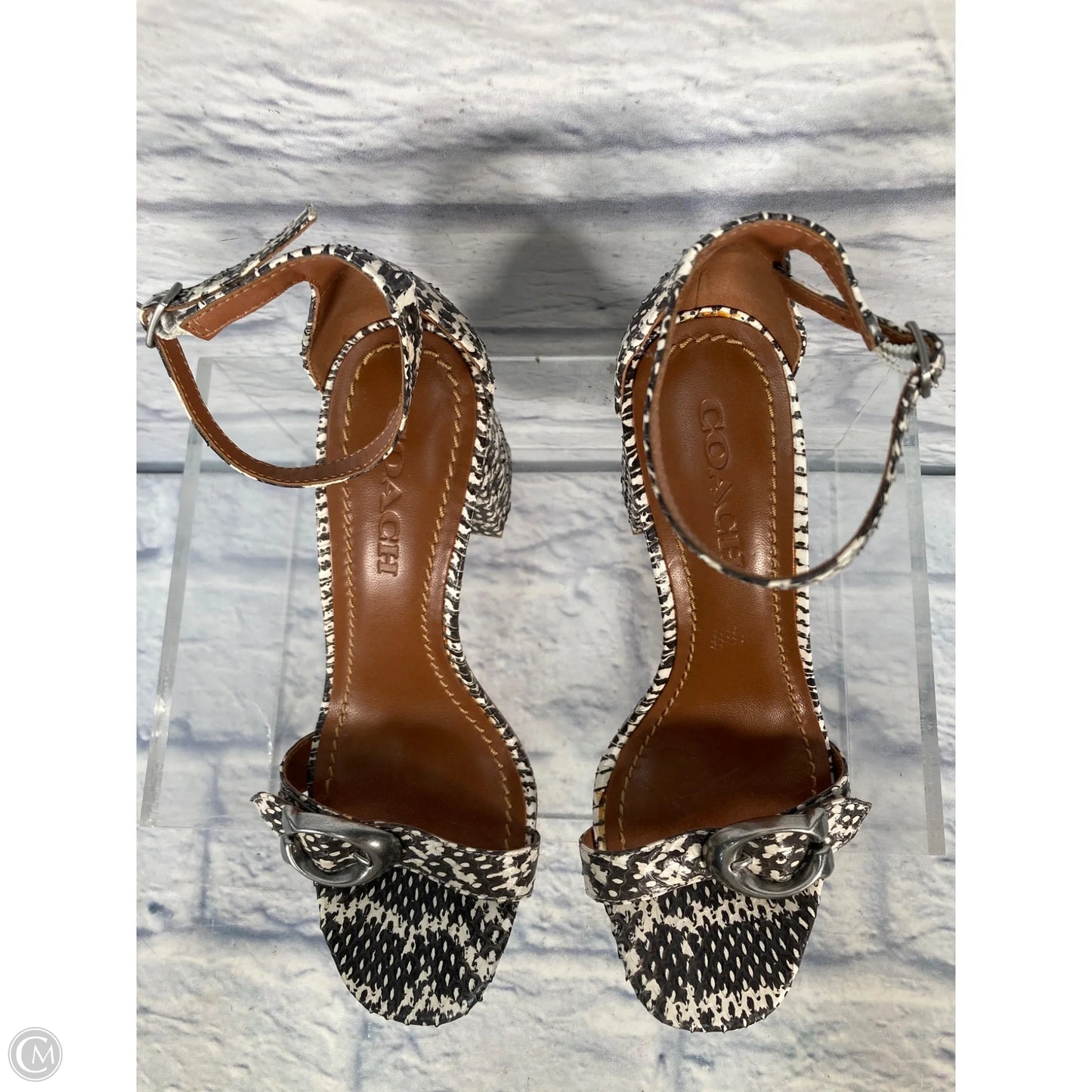 Sandals Designer By Coach In Snakeskin Print, Size: 8.5