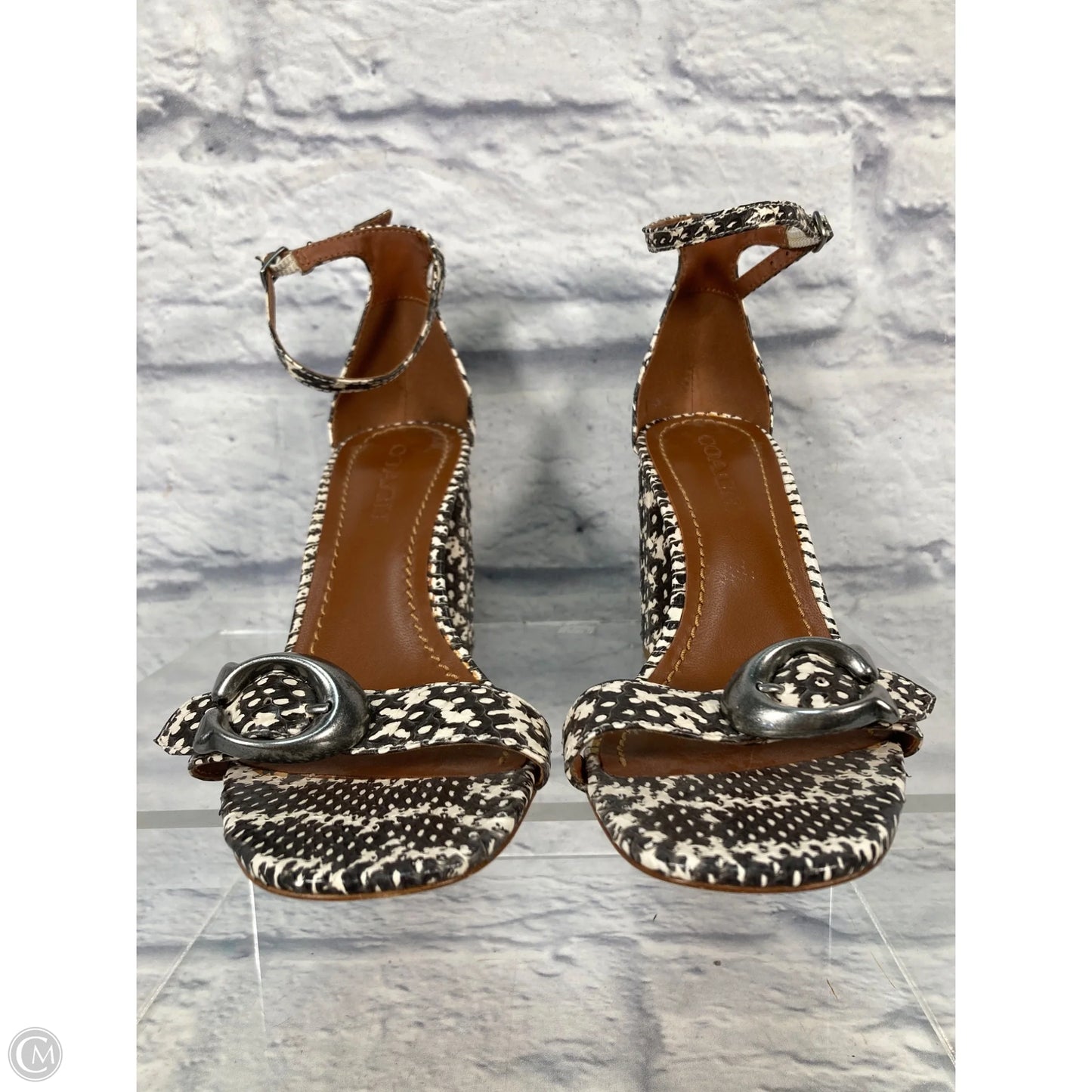 Sandals Designer By Coach In Snakeskin Print, Size: 8.5