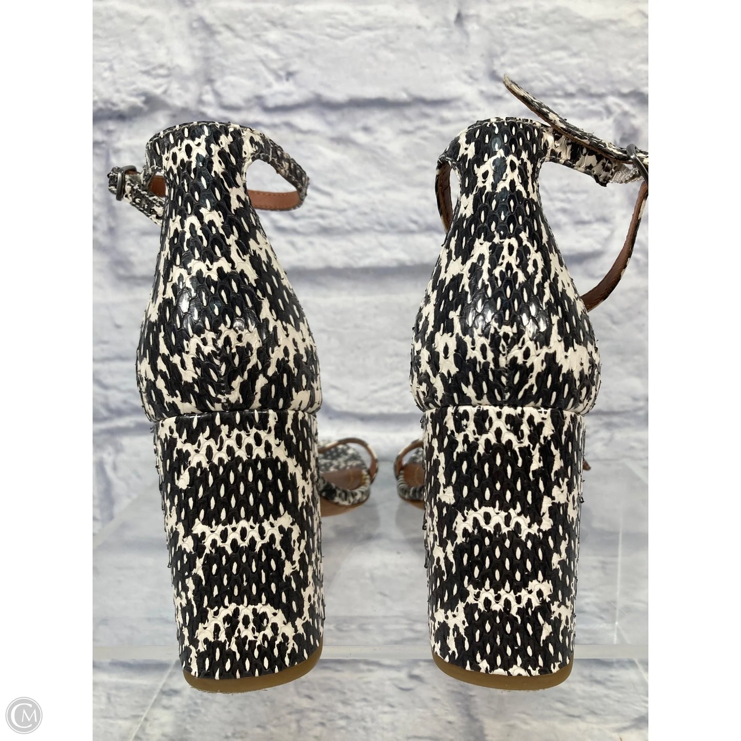 Sandals Designer By Coach In Snakeskin Print, Size: 8.5