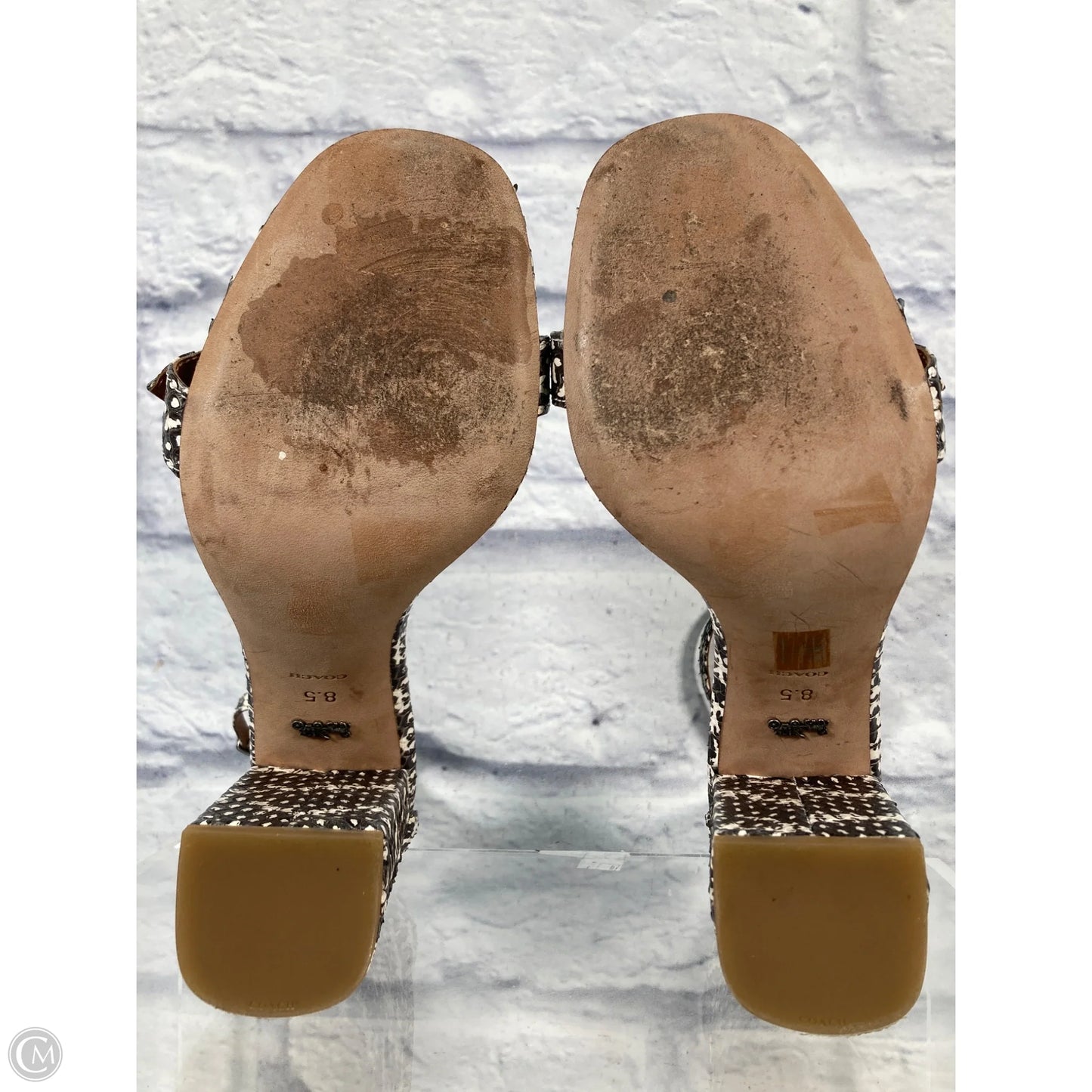 Sandals Designer By Coach In Snakeskin Print, Size: 8.5