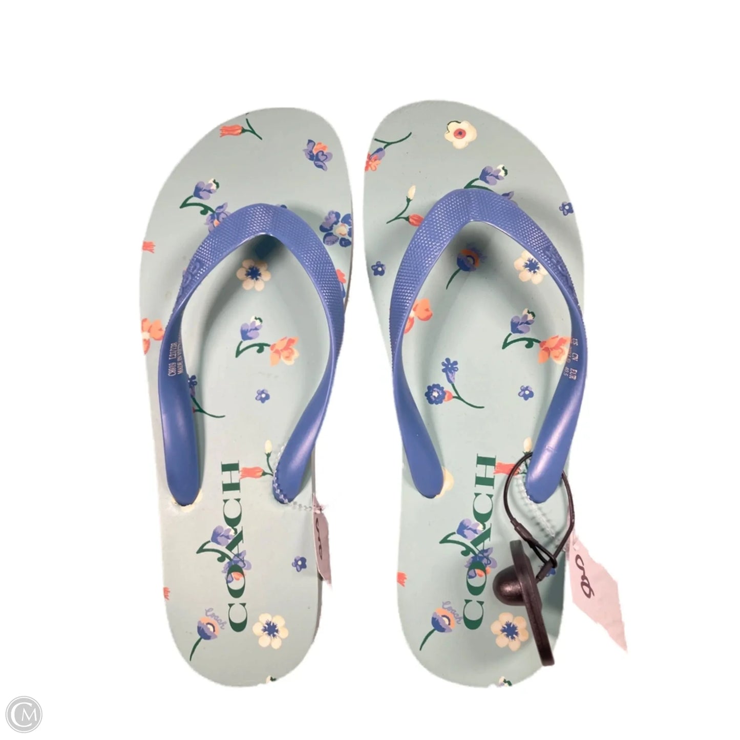 Sandals Designer By Coach In Blue & Green, Size: 10