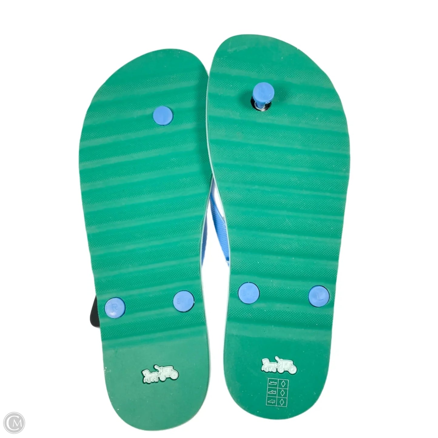 Sandals Designer By Coach In Blue & Green, Size: 10