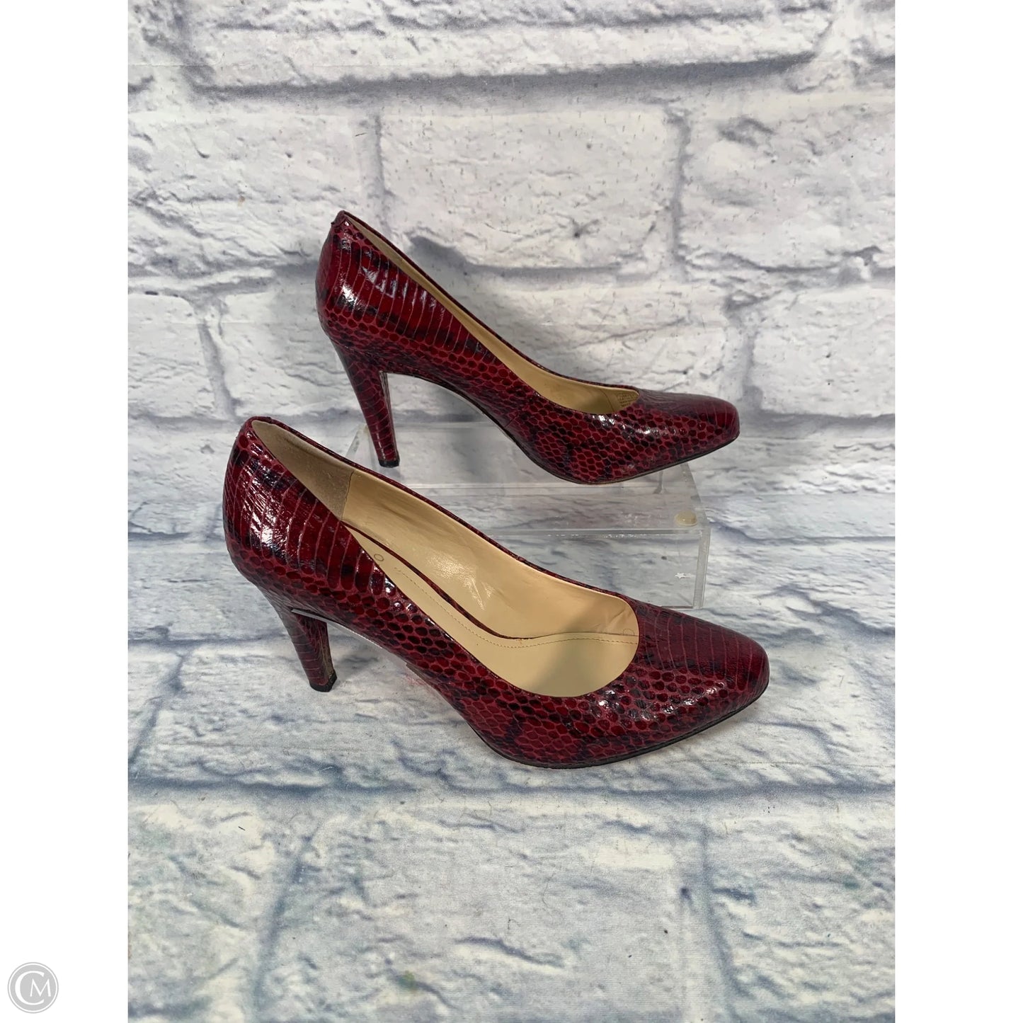 Shoes Heels Stiletto By Vince Camuto In Animal Print, Size: 7.5