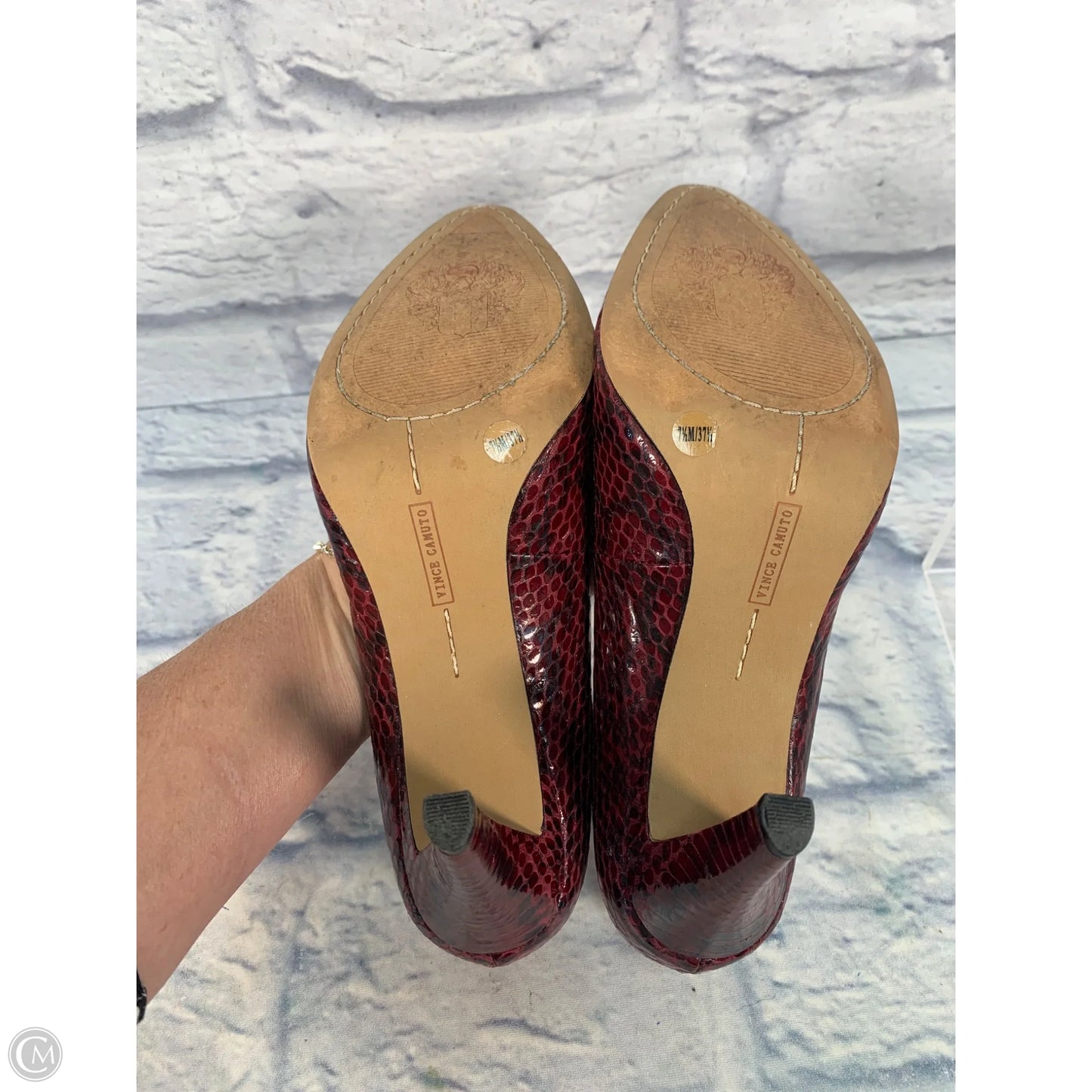 Shoes Heels Stiletto By Vince Camuto In Animal Print, Size: 7.5