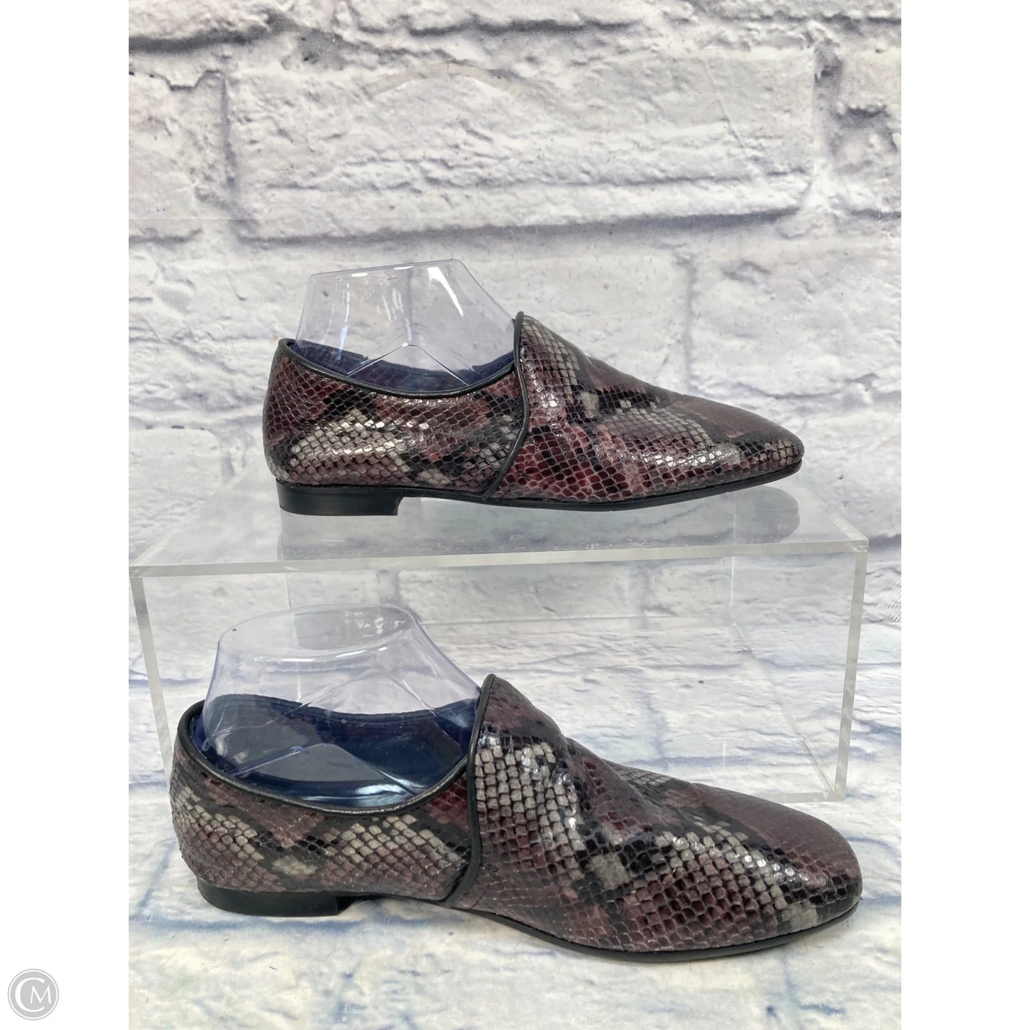 Shoes Flats By Aquatalia In Snakeskin Print, Size: 9