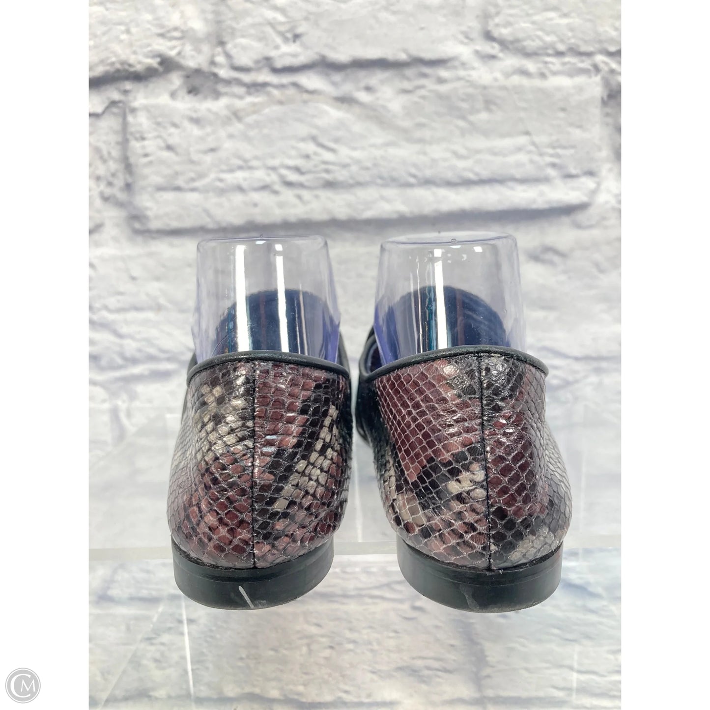 Shoes Flats By Aquatalia In Snakeskin Print, Size: 9