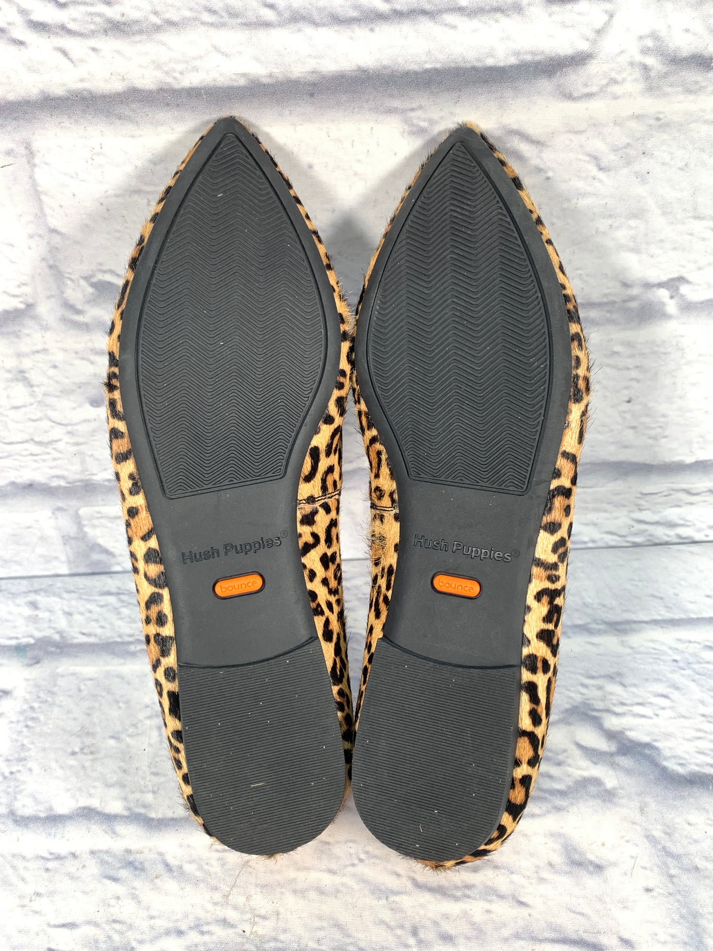 Shoes Flats By Hush Puppies In Animal Print, Size: 9.5