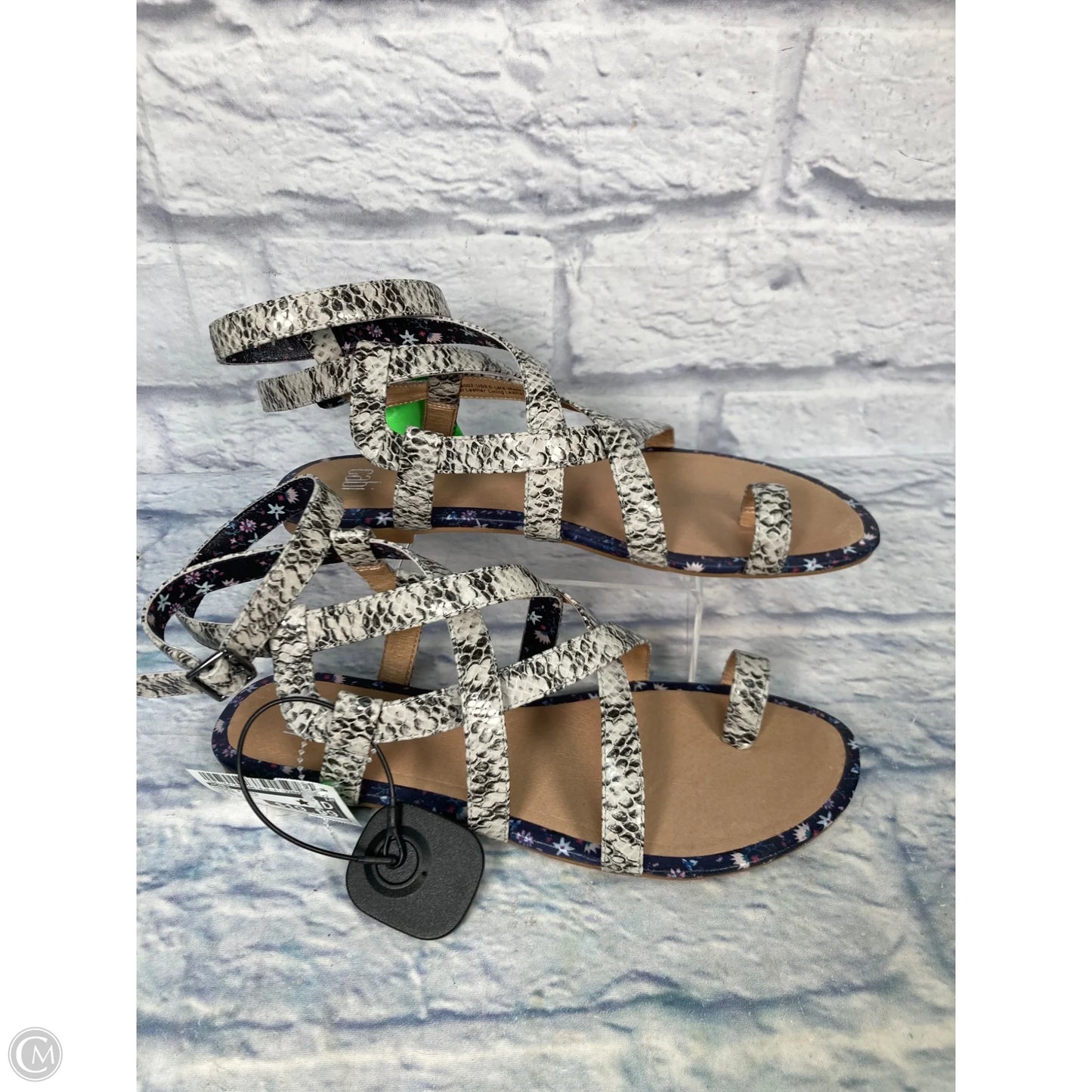 Shoes Flats By Cabi In Animal Print, Size: 9.5