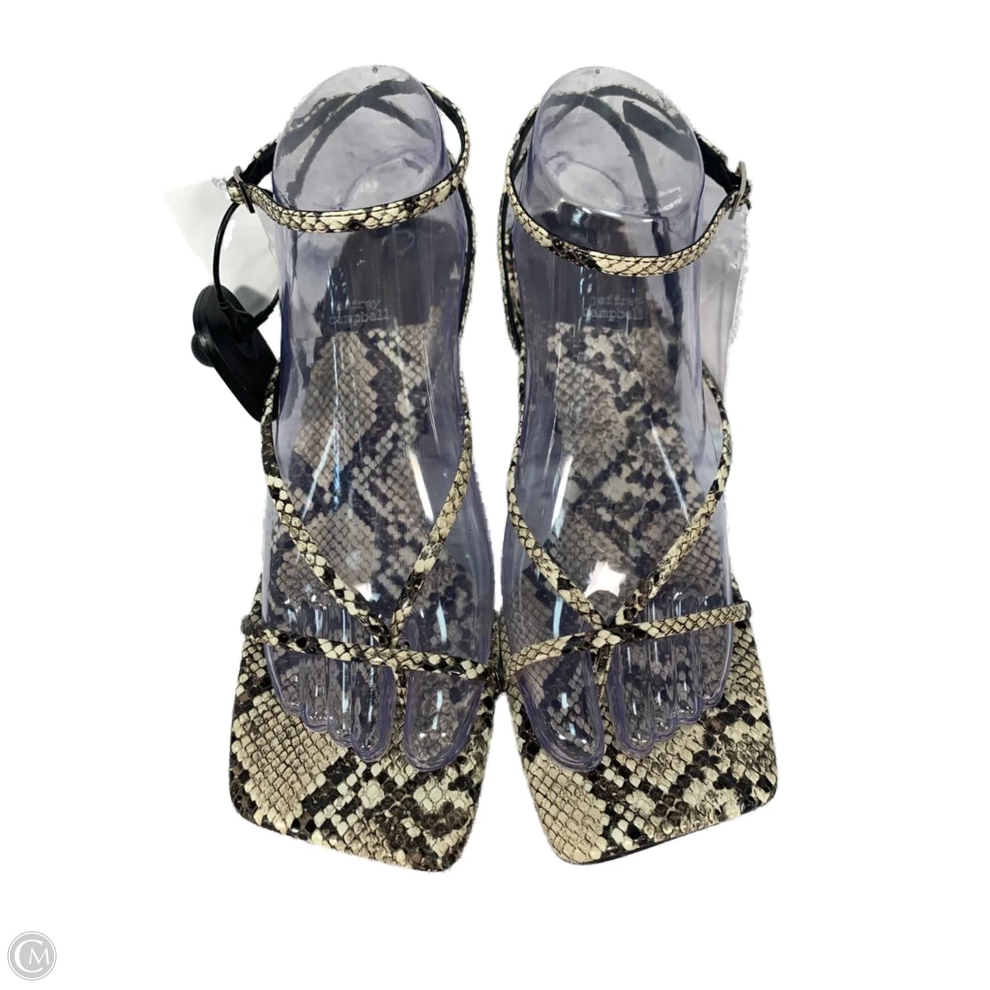 Sandals Heels Kitten By Jeffery Campbell In Snakeskin Print, Size: 9