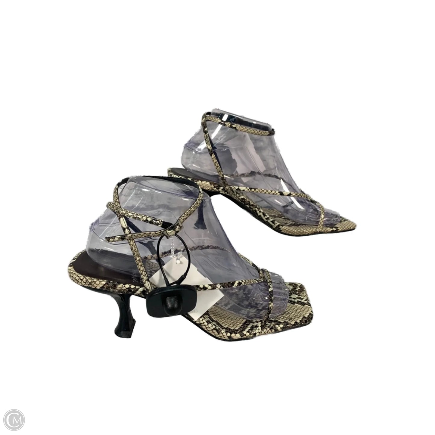 Sandals Heels Kitten By Jeffery Campbell In Snakeskin Print, Size: 9
