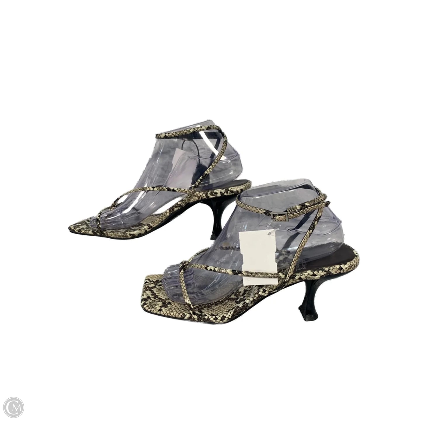 Sandals Heels Kitten By Jeffery Campbell In Snakeskin Print, Size: 9