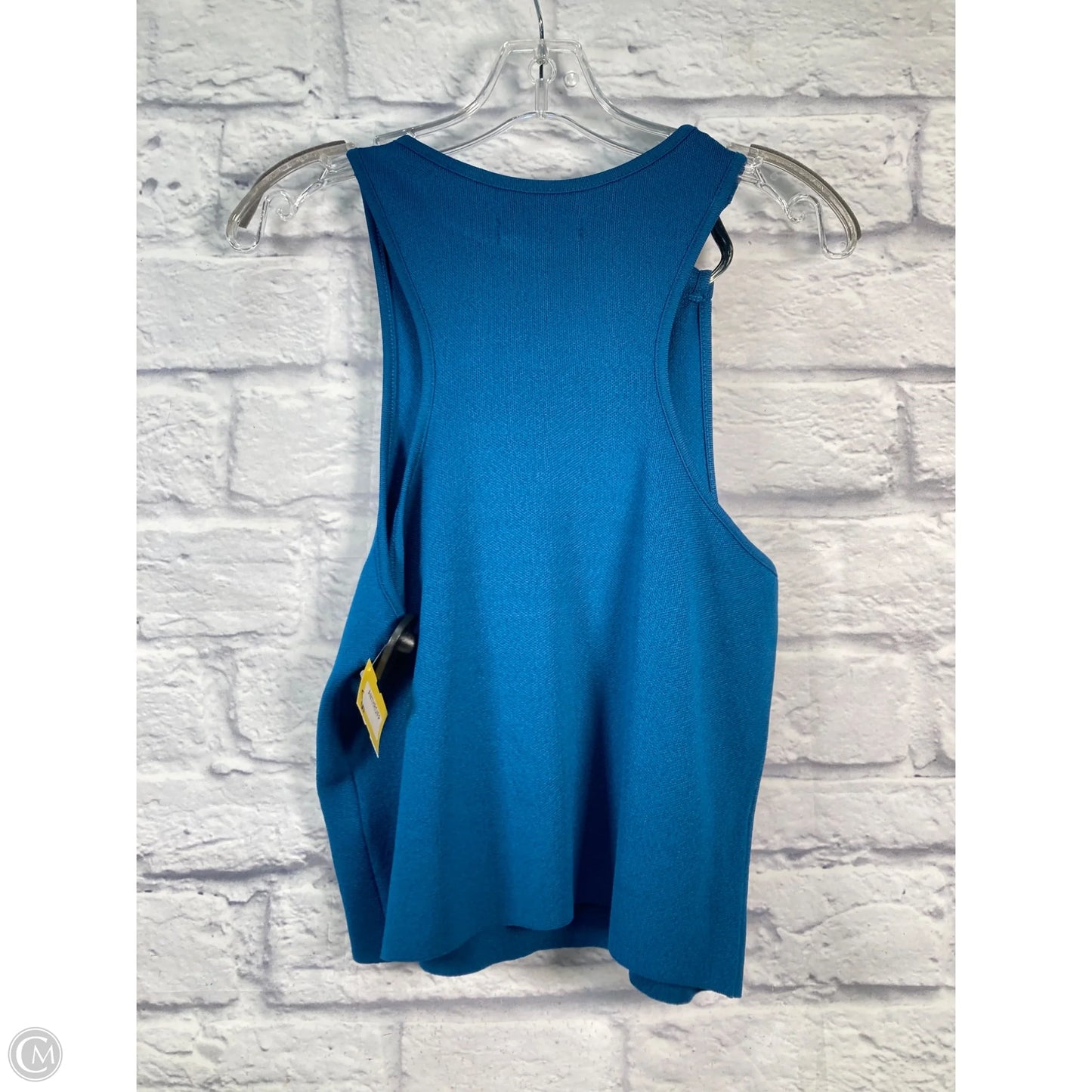 Top Sleeveless By Anthropologie In Blue & Silver, Size: L