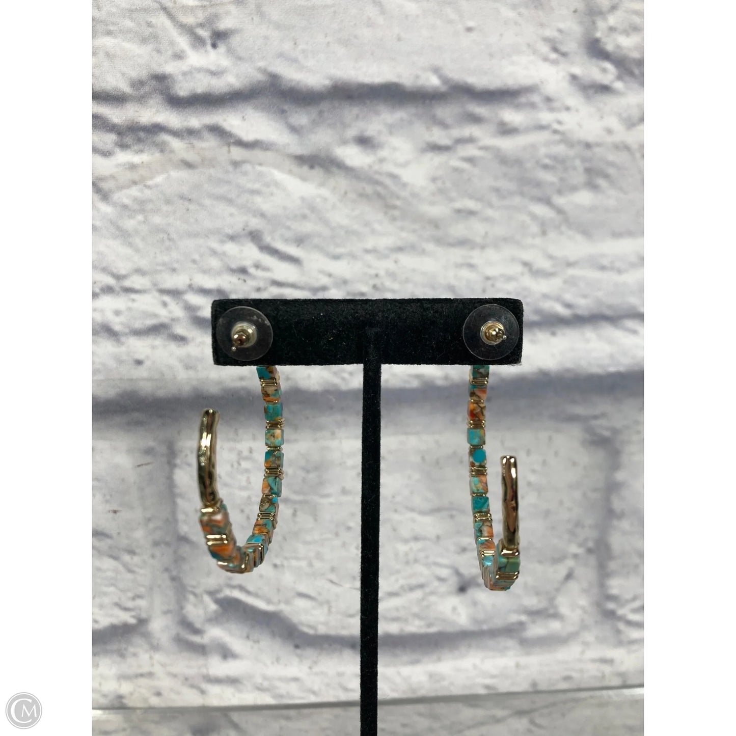 Earrings Hoop By Kendra Scott