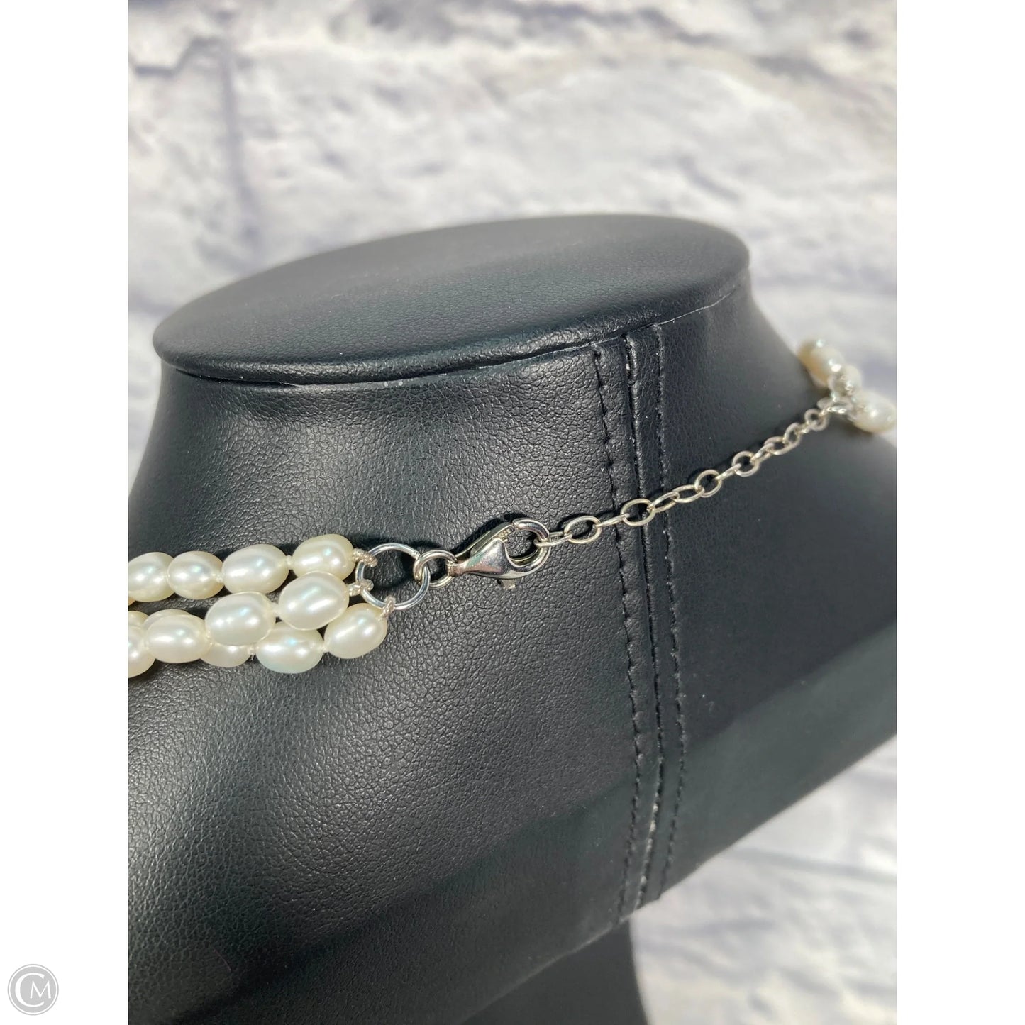 Necklace Layered By Clothes Mentor