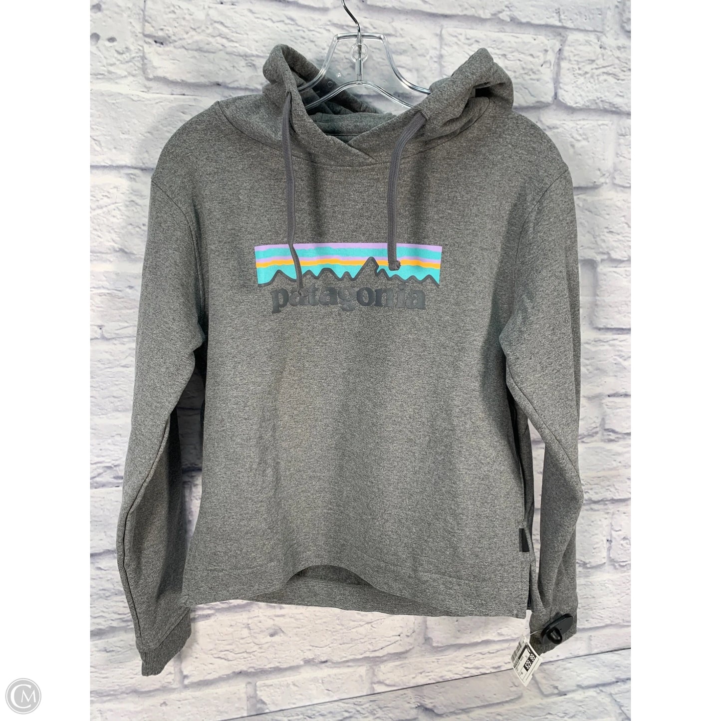 Sweatshirt Hoodie By Patagonia In Grey, Size: Xs