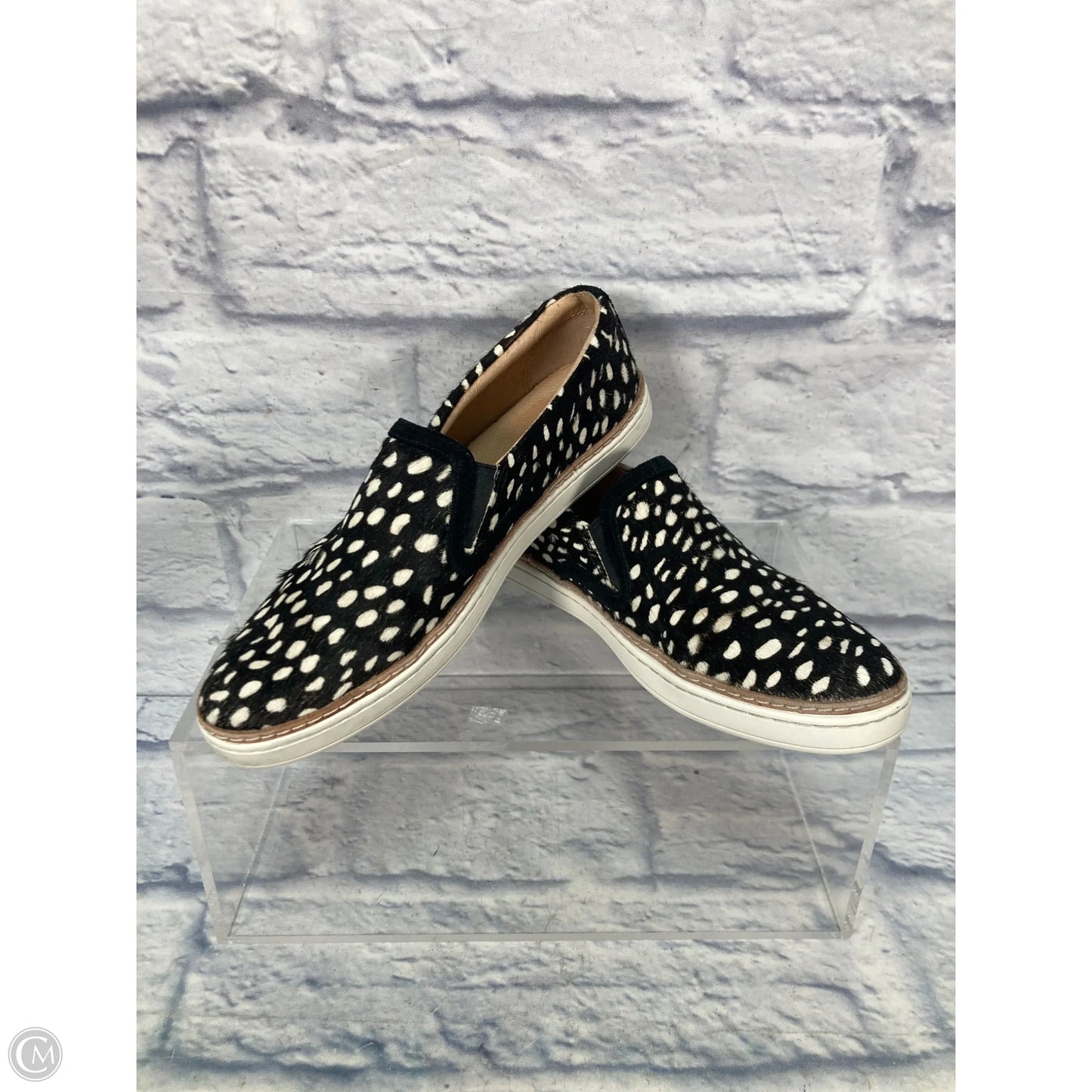 Shoes Designer By Ugg In Animal Print, Size: 8