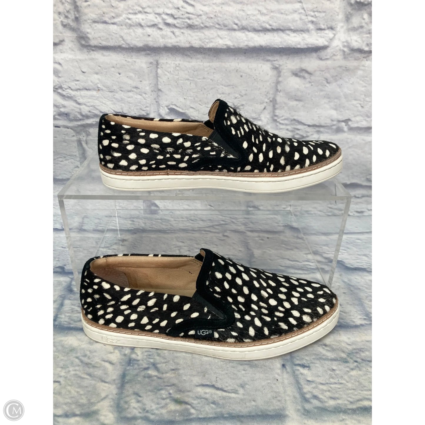 Shoes Designer By Ugg In Animal Print, Size: 8