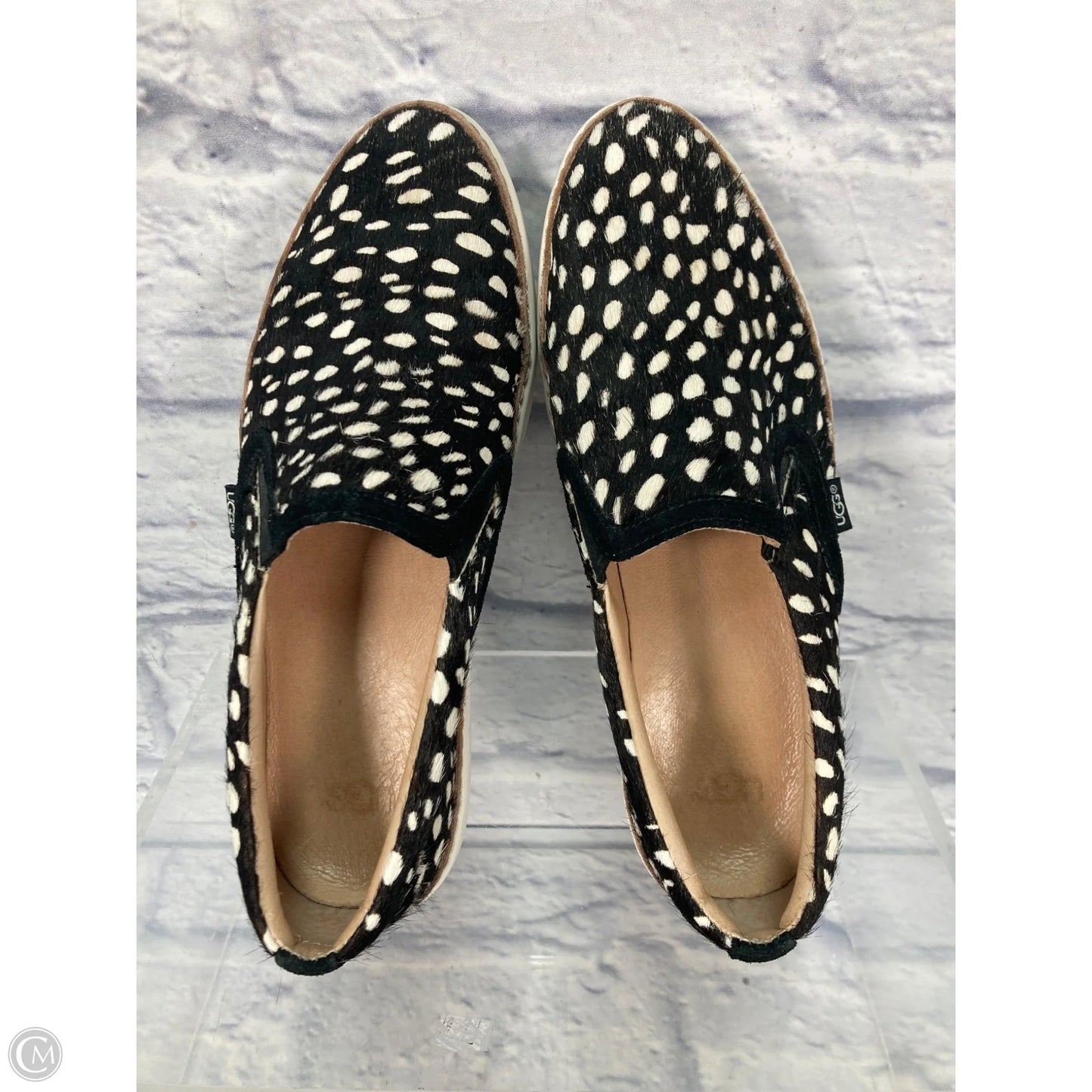Shoes Designer By Ugg In Animal Print, Size: 8