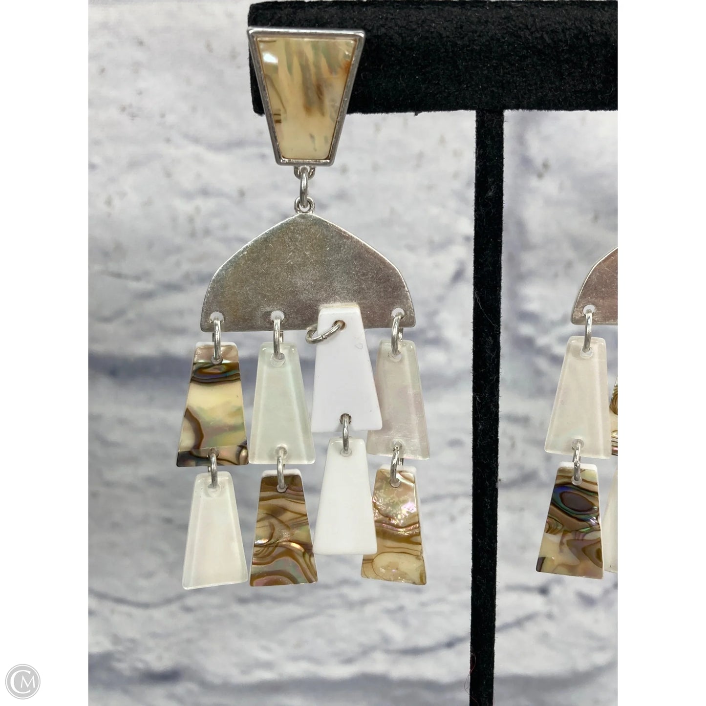 Earrings Dangle/drop By Clothes Mentor