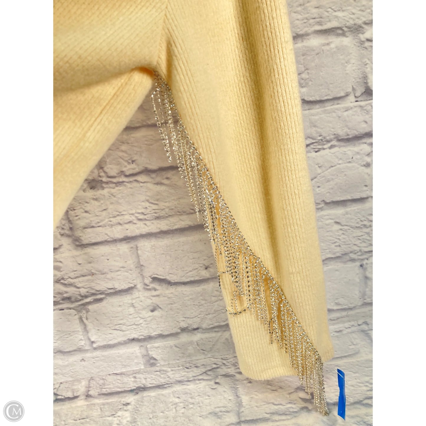 Top Long Sleeve By Zara In Cream & Silver, Size: M