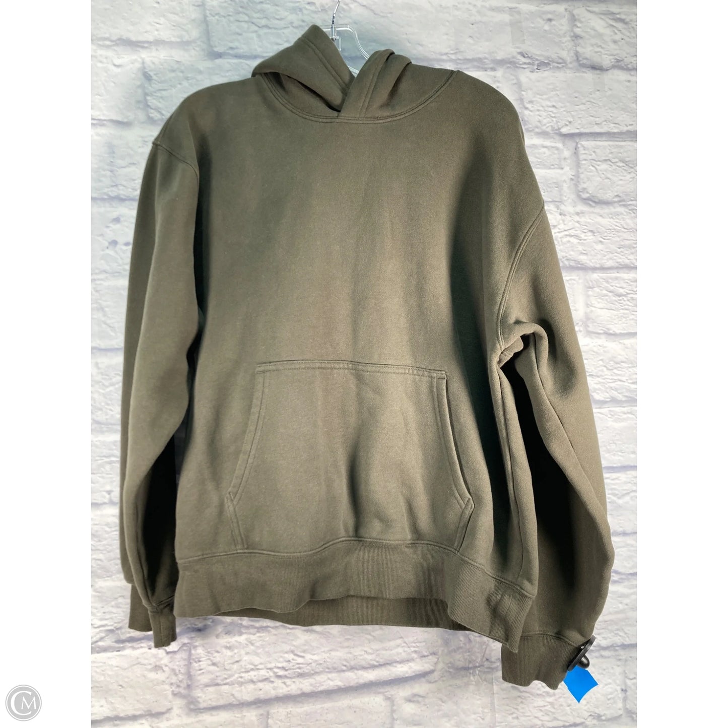 Sweatshirt Hoodie By Aritzia In Green, Size: L
