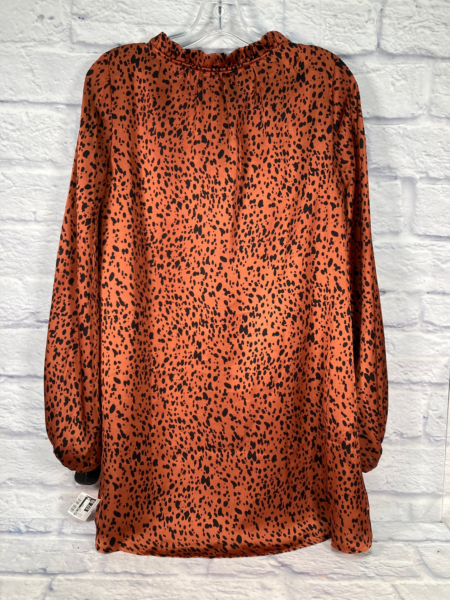 Dress Casual Short By Buddy Love In Animal Print, Size: S