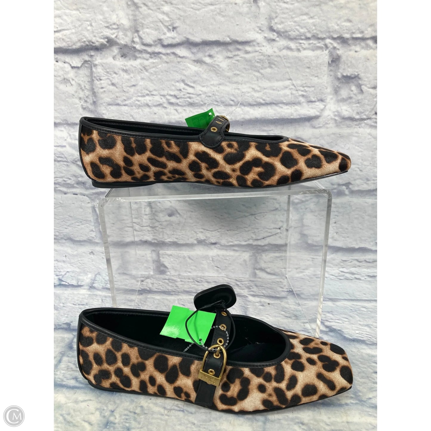 Shoes Flats By Vince Camuto In Animal Print, Size: 12
