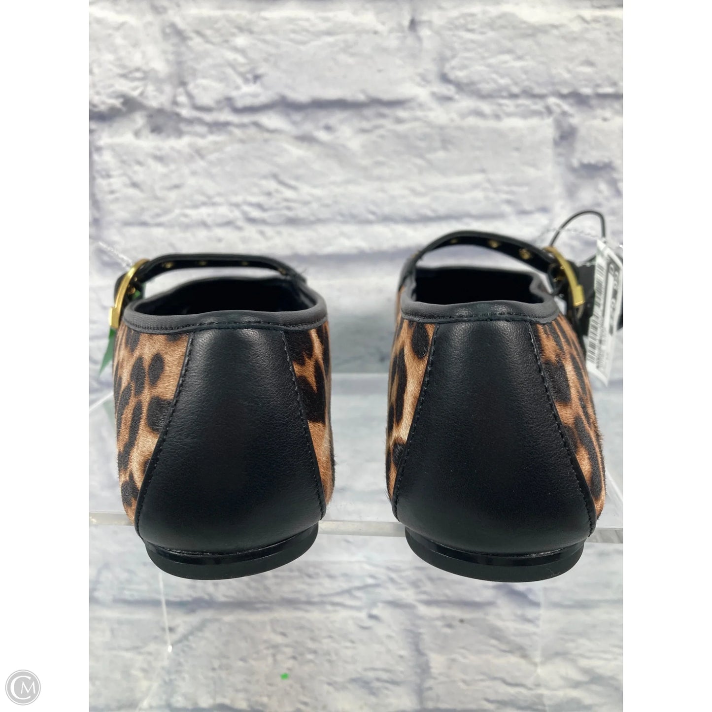 Shoes Flats By Vince Camuto In Animal Print, Size: 12