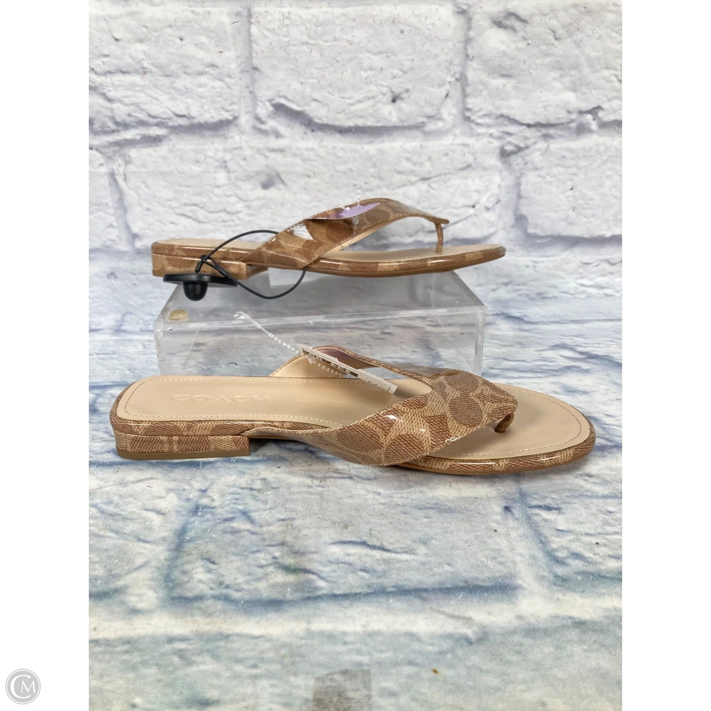Sandals Designer By Coach In Tan, Size: 8.5