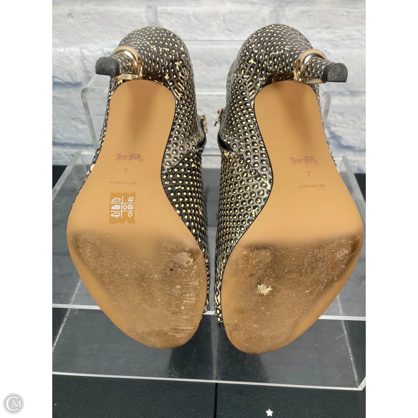 Shoes Designer By Coach In Animal Print, Size: 7