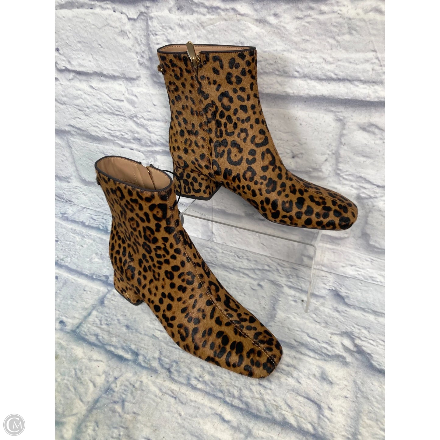 Boots Ankle Heels By Sam Edelman In Animal Print, Size: 7.5
