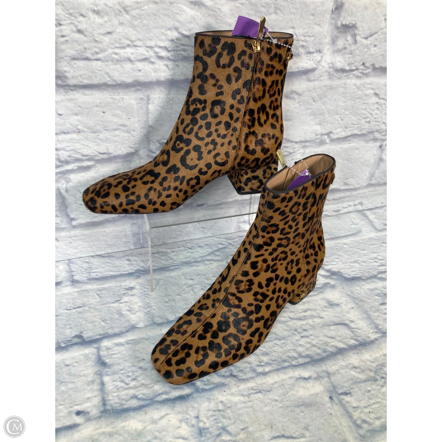 Boots Ankle Heels By Sam Edelman In Animal Print, Size: 7.5