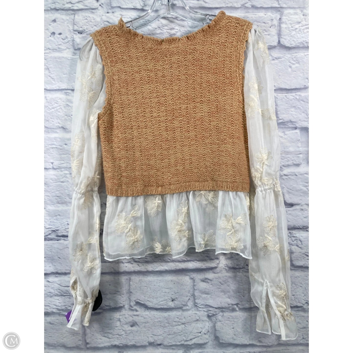 Top Long Sleeve By Anthropologie In Brown & Cream, Size: Xxs