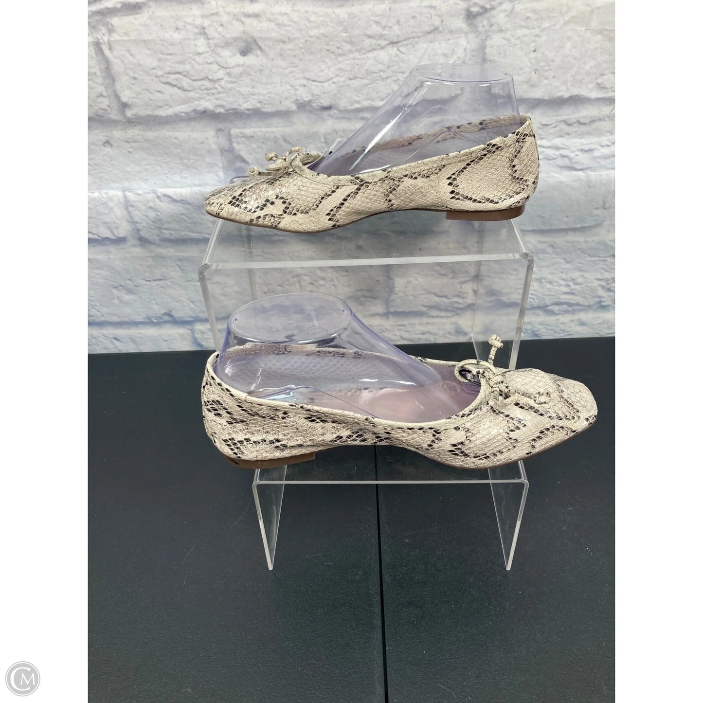 Shoes Flats By Schutz In Snakeskin Print, Size: 8