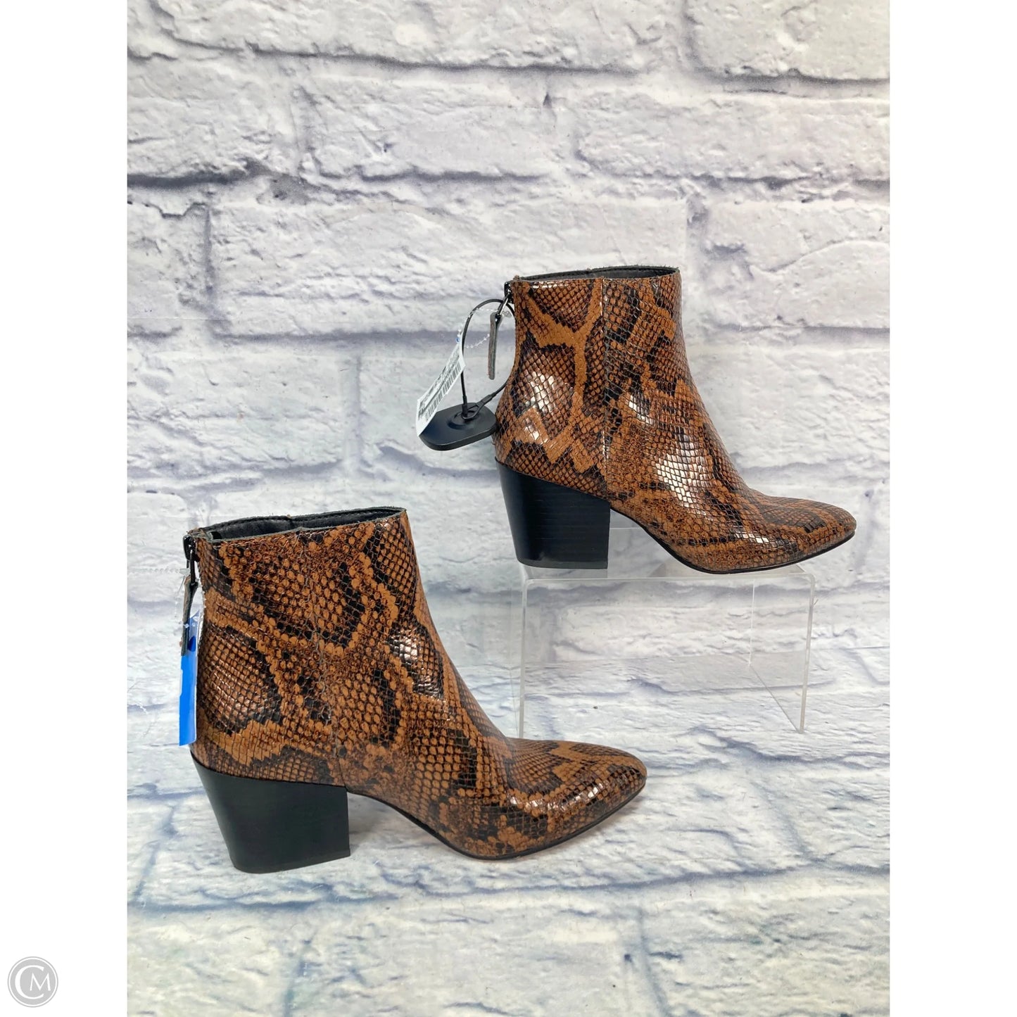 Boots Ankle Heels By Dolce Vita In Snakeskin Print, Size: 6.5