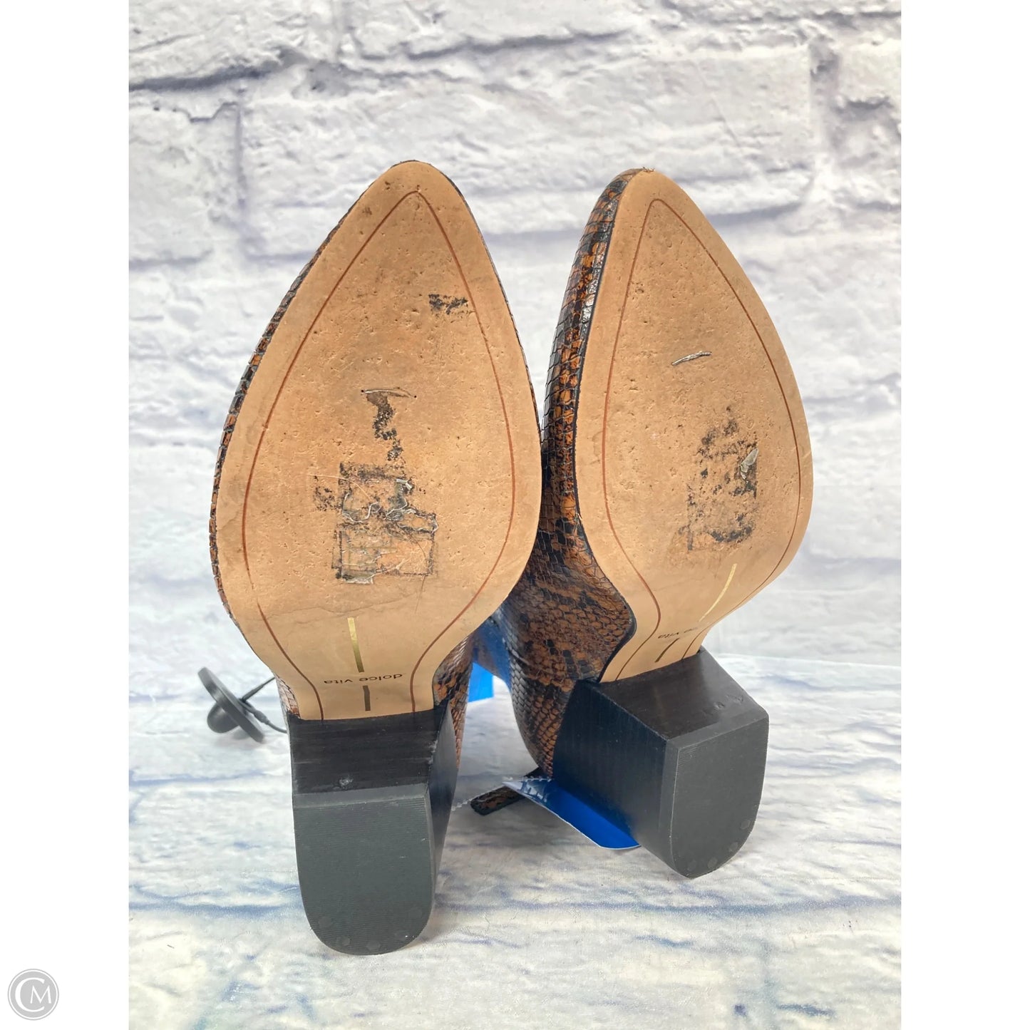 Boots Ankle Heels By Dolce Vita In Snakeskin Print, Size: 6.5