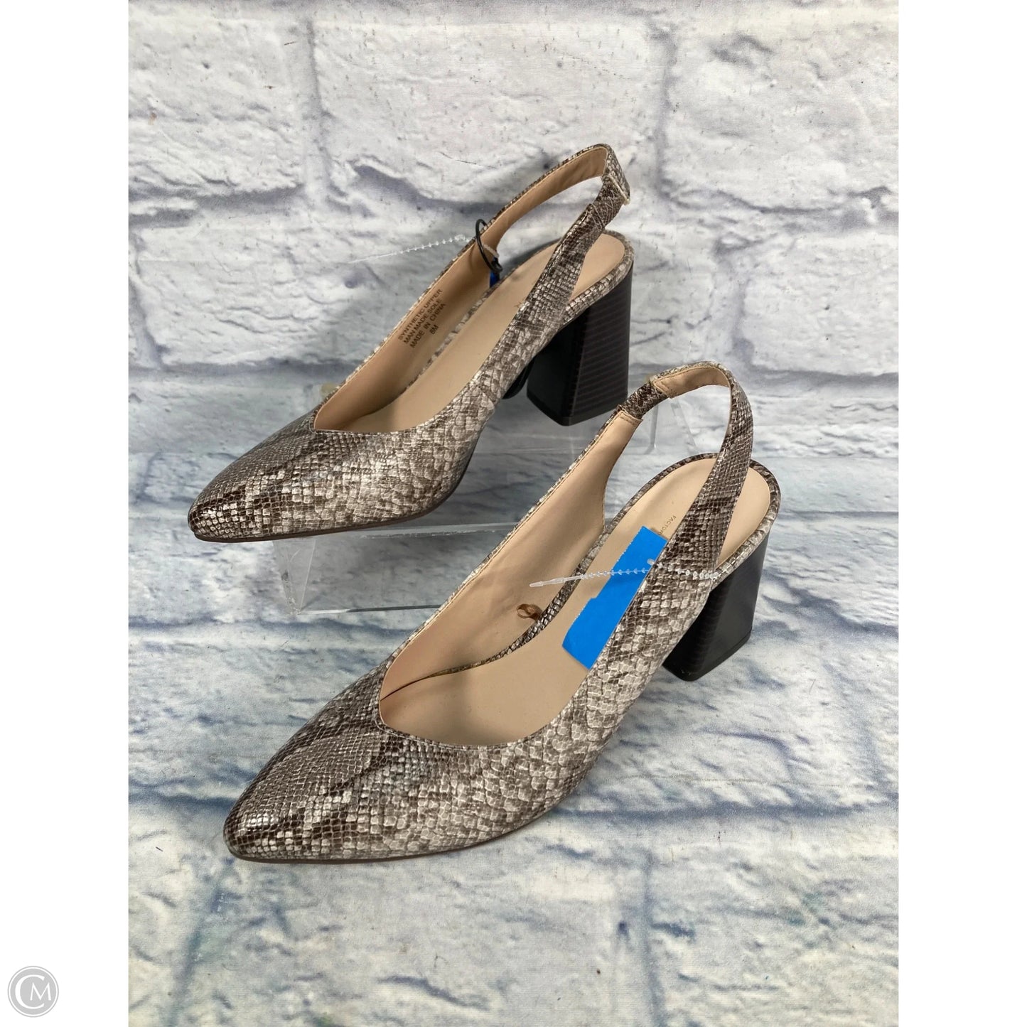 Shoes Heels Block By Ann Taylor In Snakeskin Print, Size: 8