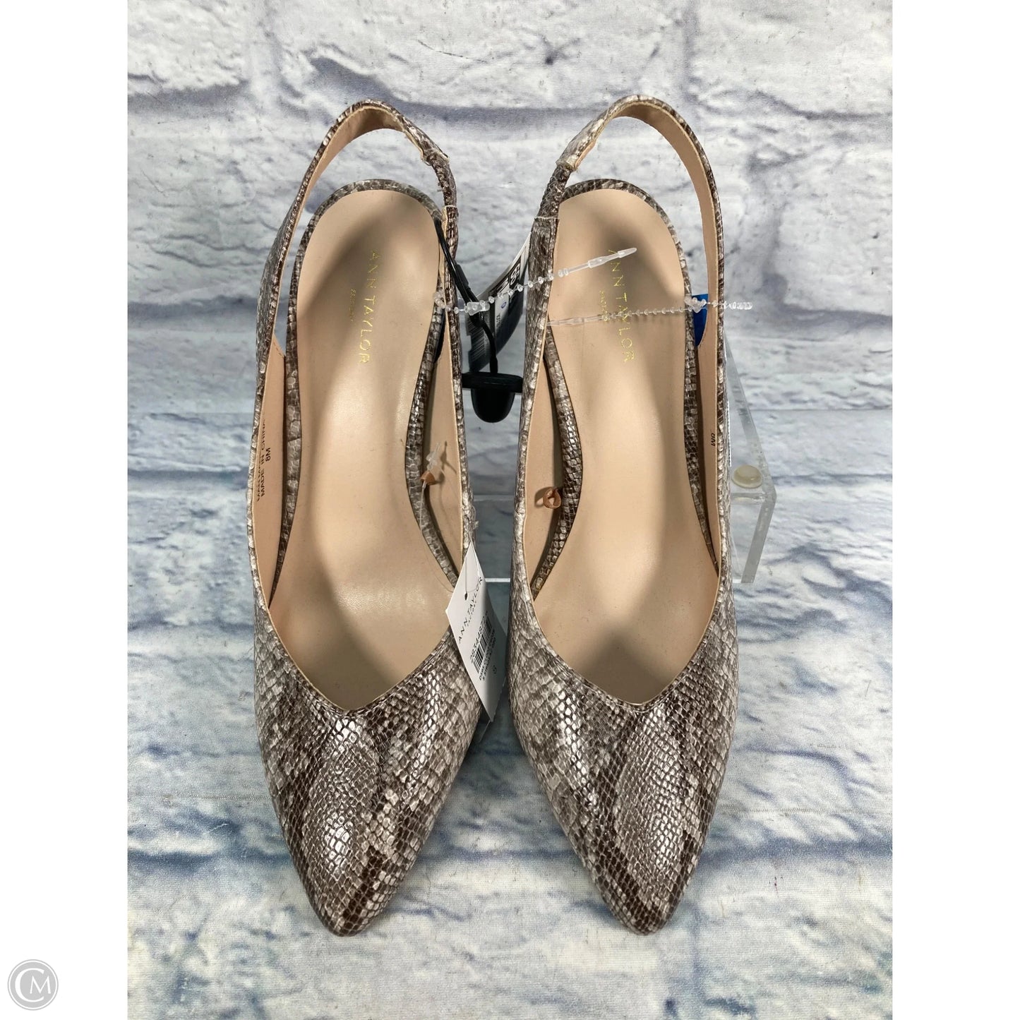 Shoes Heels Block By Ann Taylor In Snakeskin Print, Size: 8