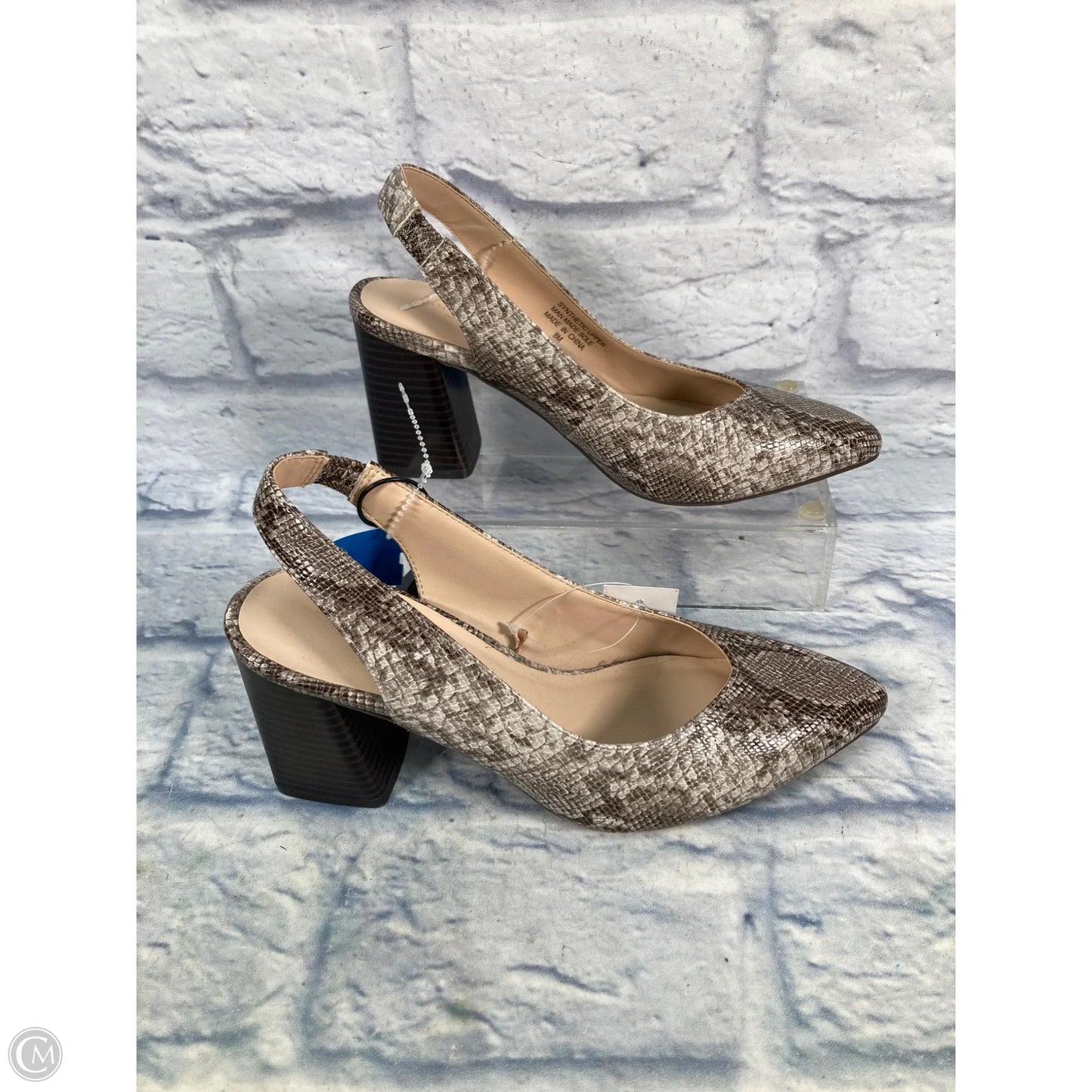 Shoes Heels Block By Ann Taylor In Snakeskin Print, Size: 8