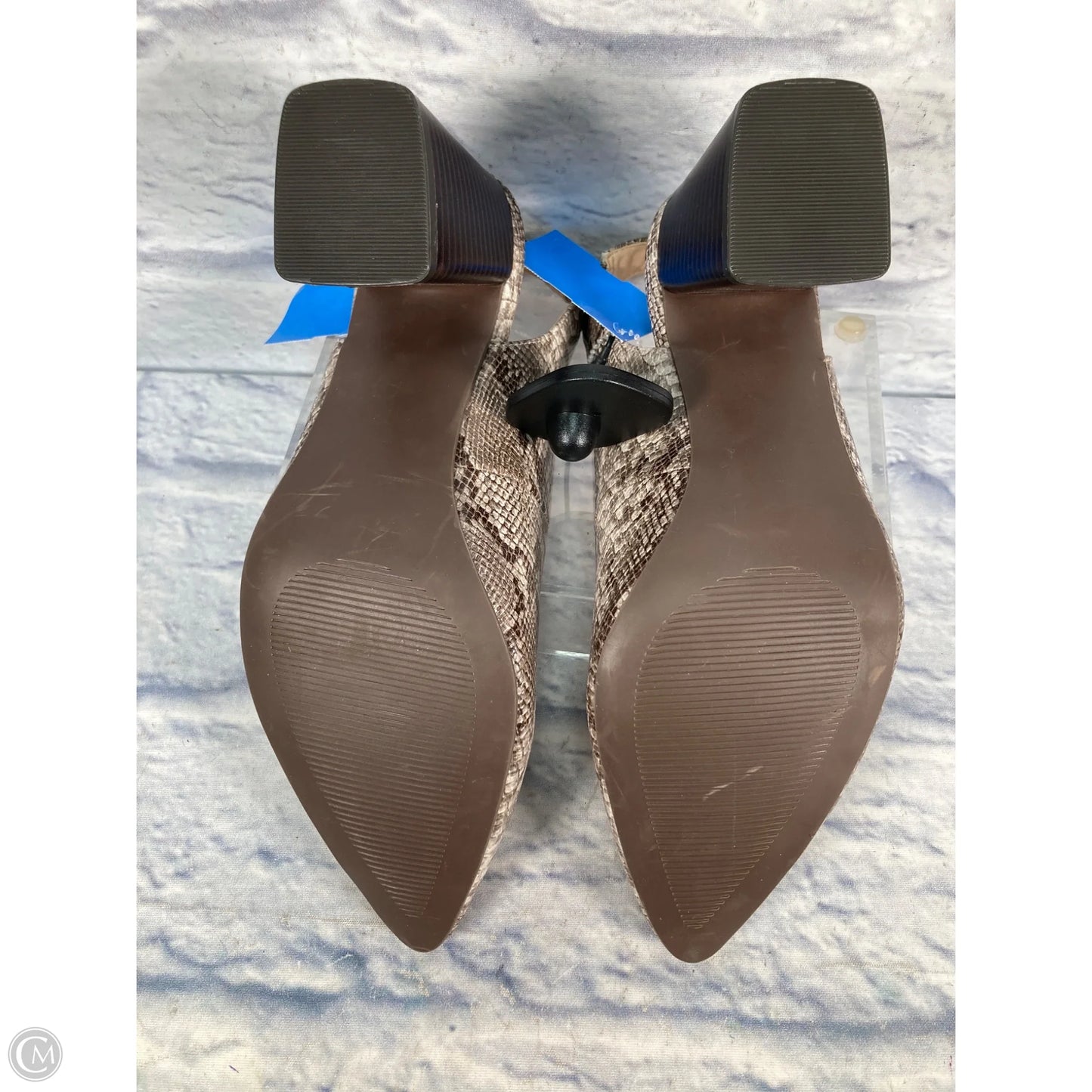 Shoes Heels Block By Ann Taylor In Snakeskin Print, Size: 8