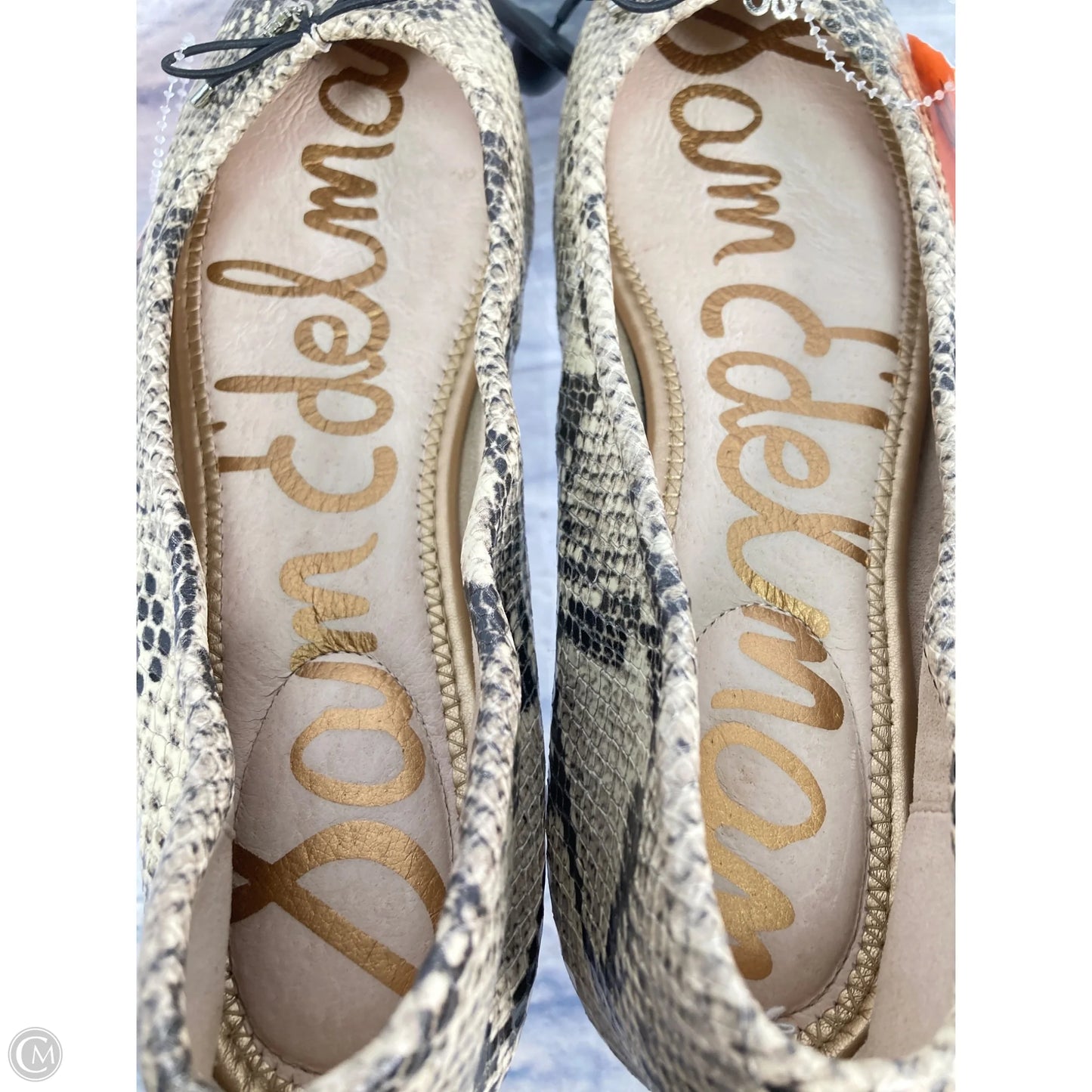 Shoes Flats By Sam Edelman In Snakeskin Print, Size: 10