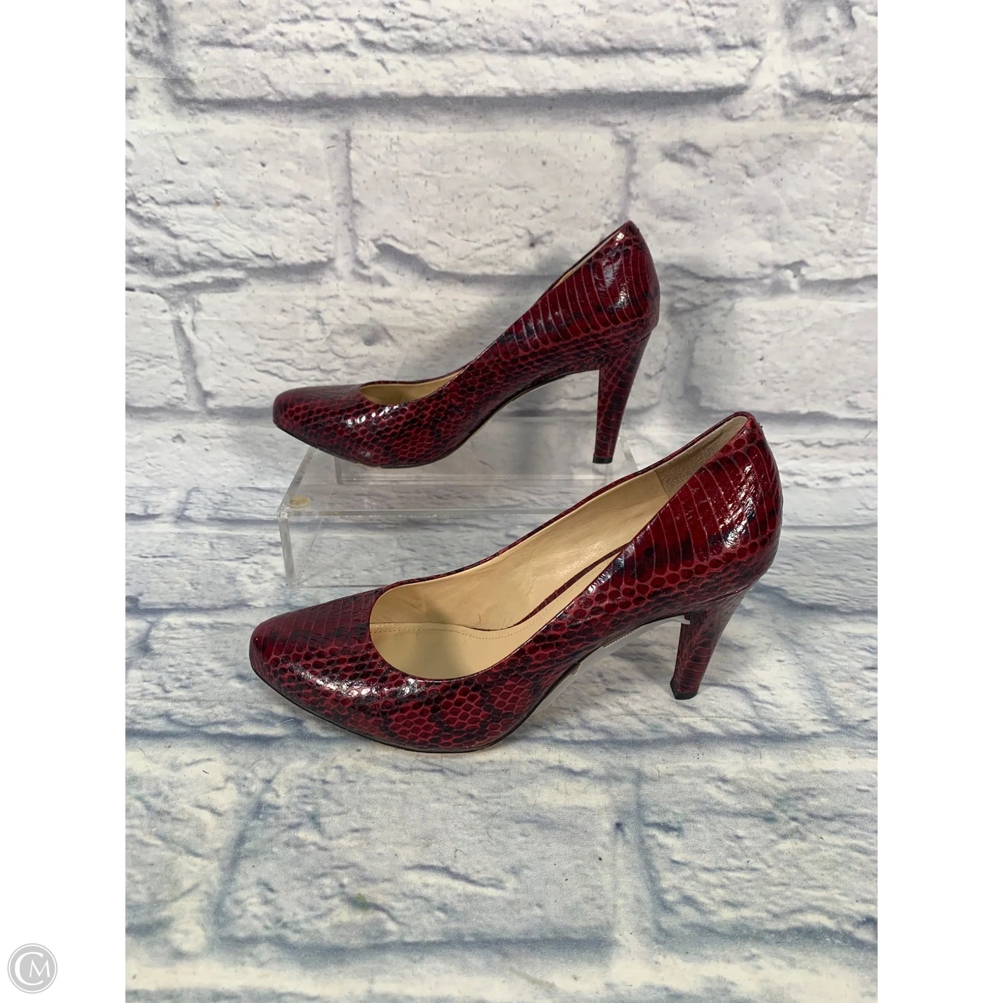 Shoes Heels Stiletto By Vince Camuto In Animal Print, Size: 7.5