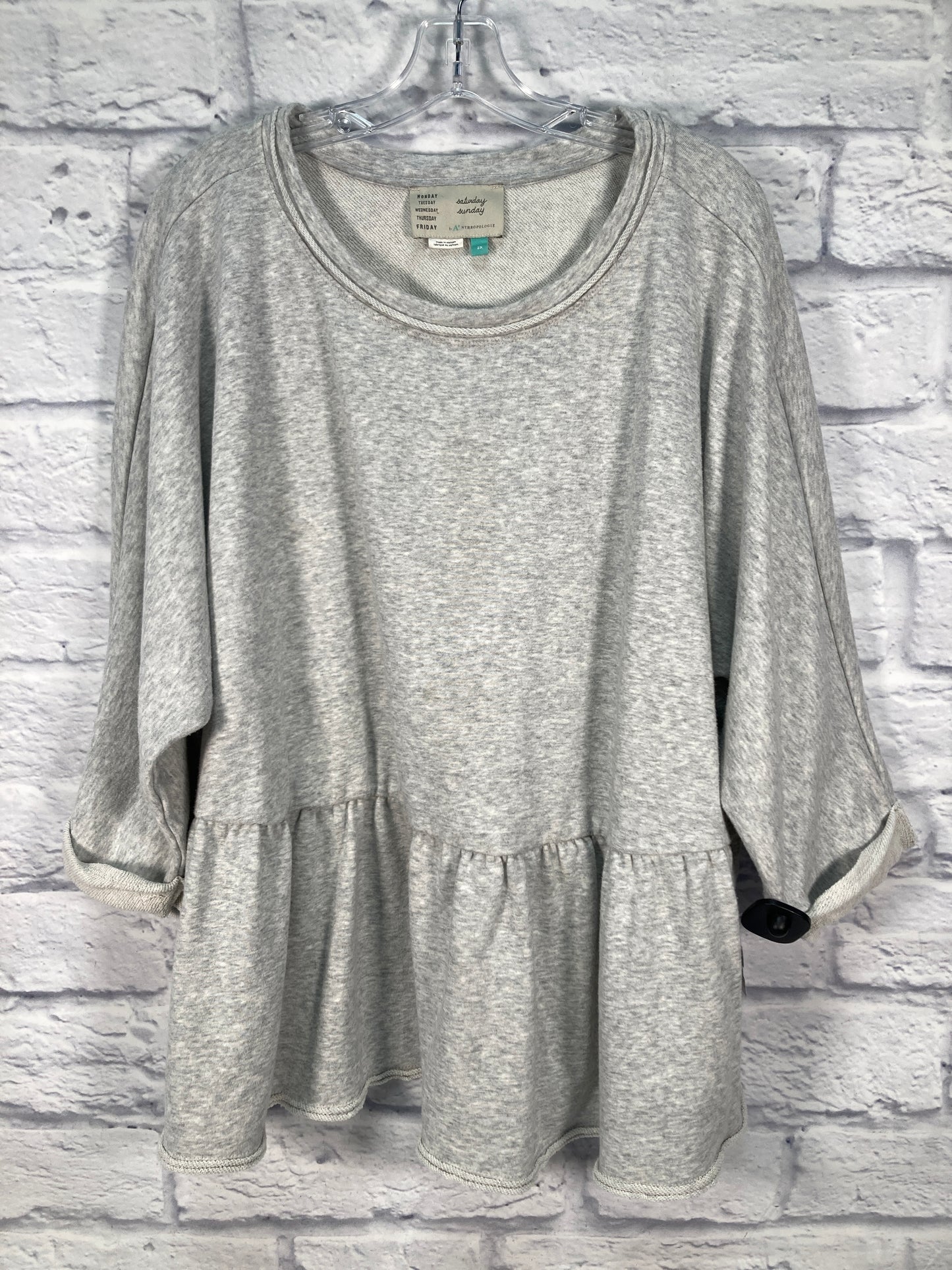 Top Long Sleeve By Saturday/sunday In Grey, Size: 2x