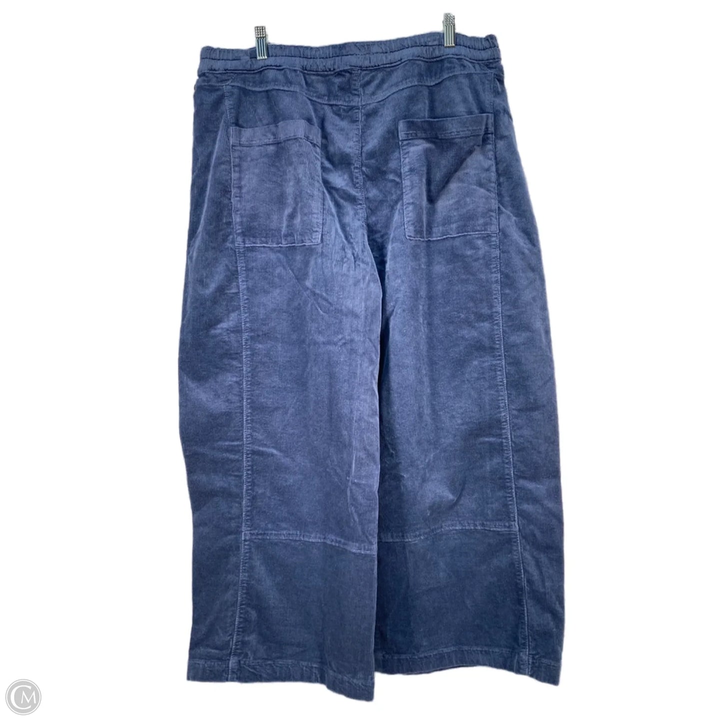Pants Corduroy By Pilcro In Blue, Size: 20