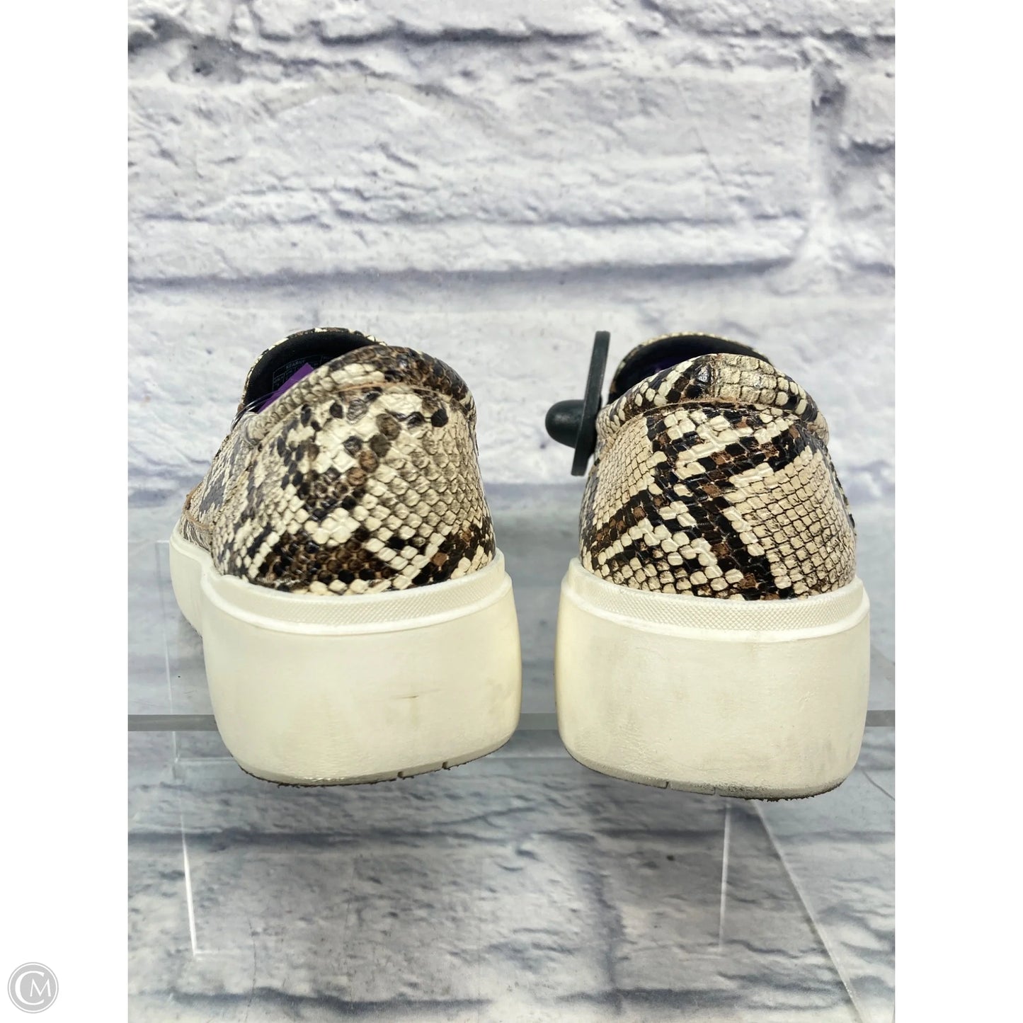 Shoes Sneakers By Vince In Snakeskin Print, Size: 7
