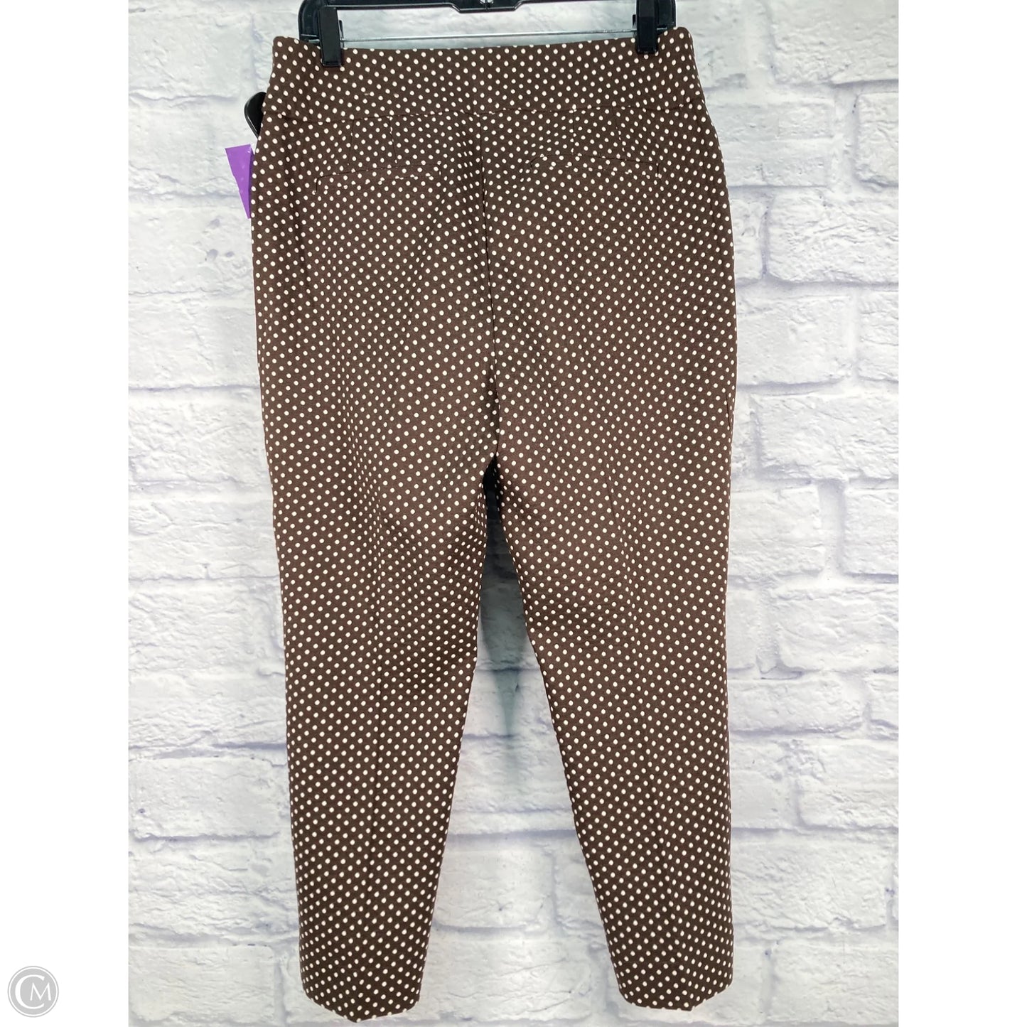 Pants Other By Chicos In Polkadot Pattern, Size: 10