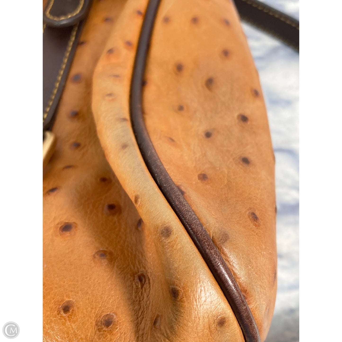 Handbag Designer By Dooney And Bourke, Size: Large