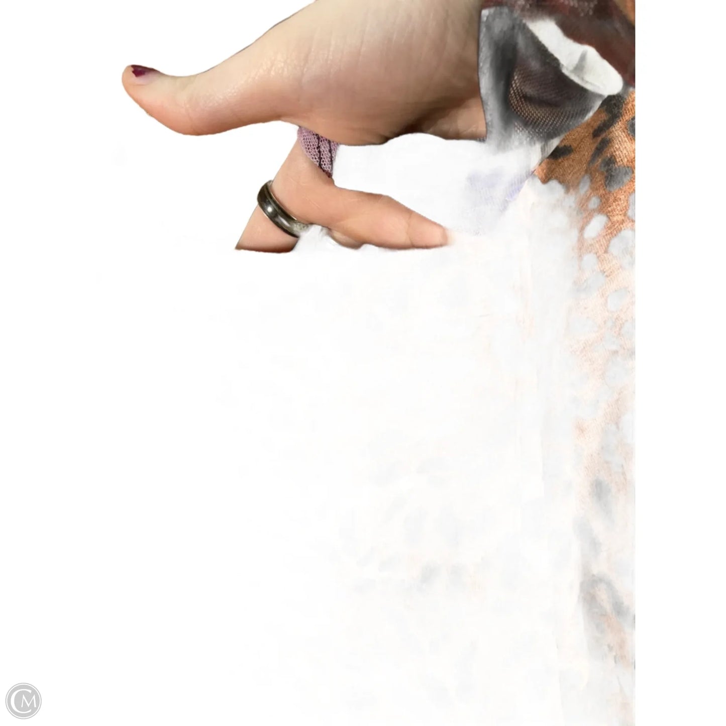 Top 3/4 Sleeve By Chicos In Animal Print, Size: Xl