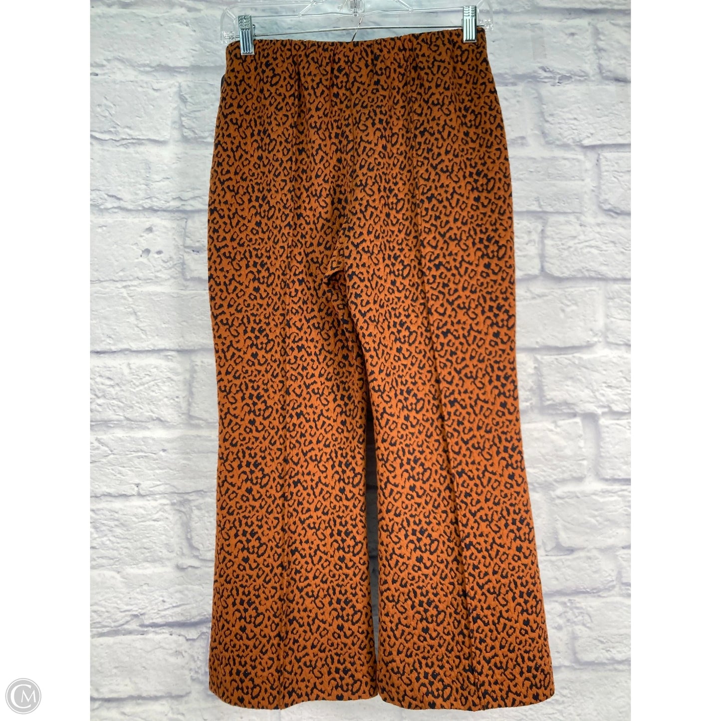 Pants Other By Eva Franco In Animal Print, Size: 6p