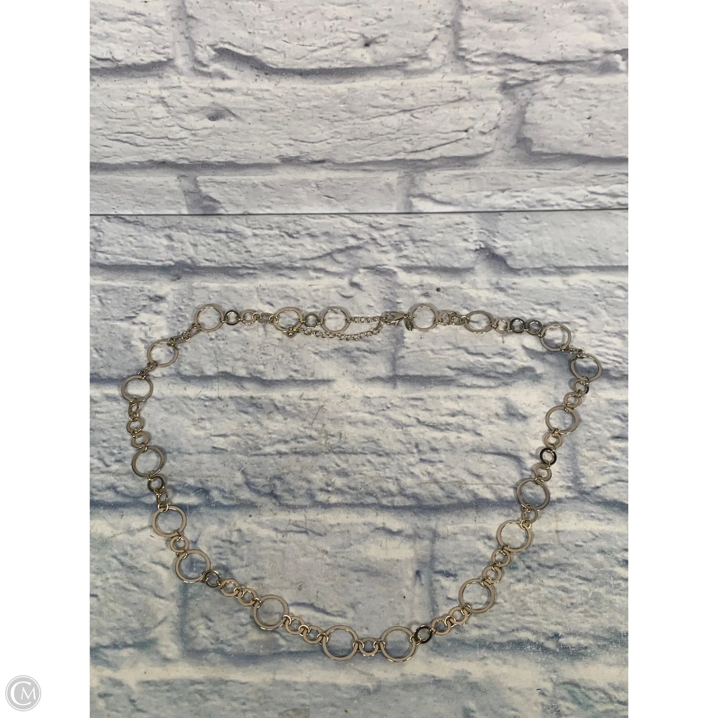 Necklace Chain By Chicos